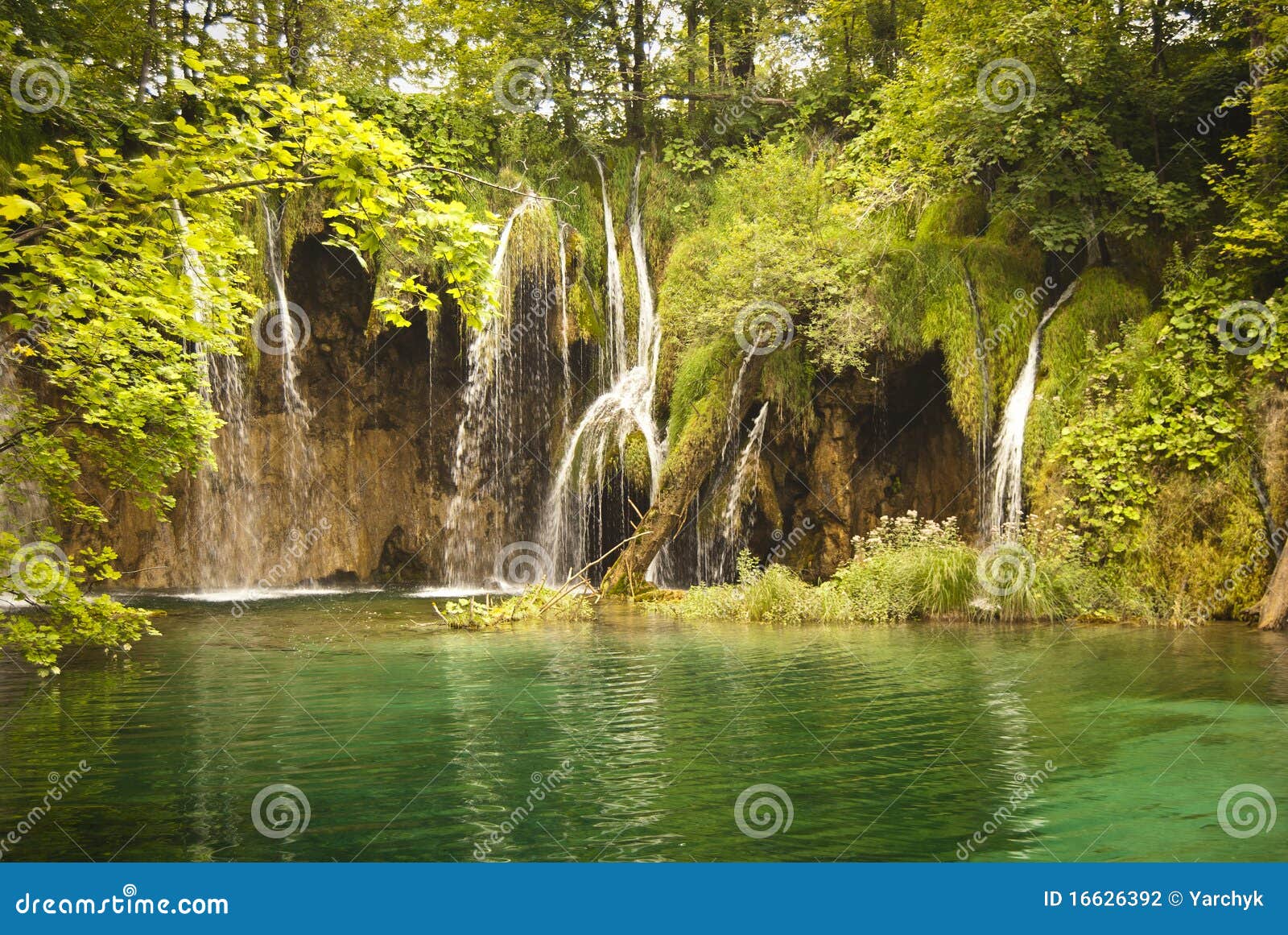 Paesaggio Della Regione Selvaggia Con Le Belle Cascate Fotografia Stock Immagine Di Paesaggio Fogli