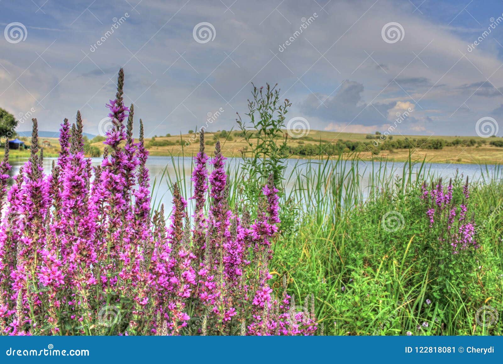 Paesaggio di estate in campagna bulgara. Paesaggio di estate con un lago pittoresco e nuvole lanuginose da qualche parte in campagna bulgara