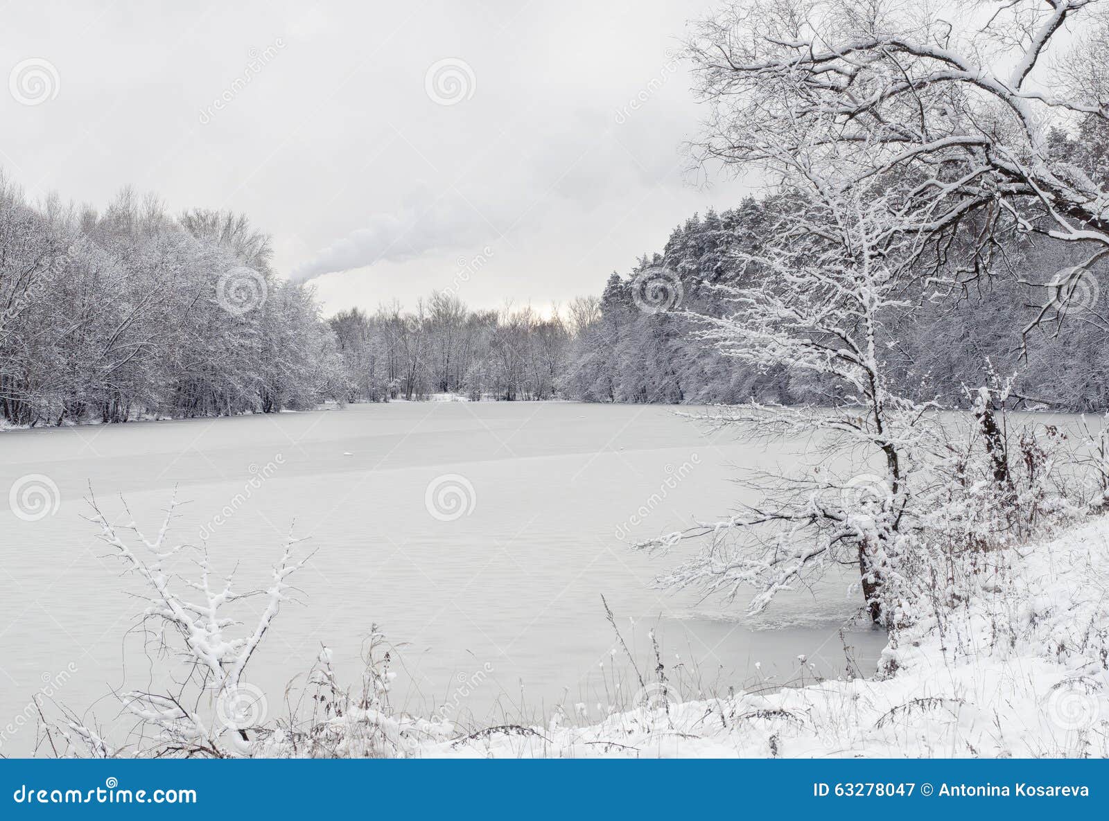 Paesaggio di inverno con il fiume congelato