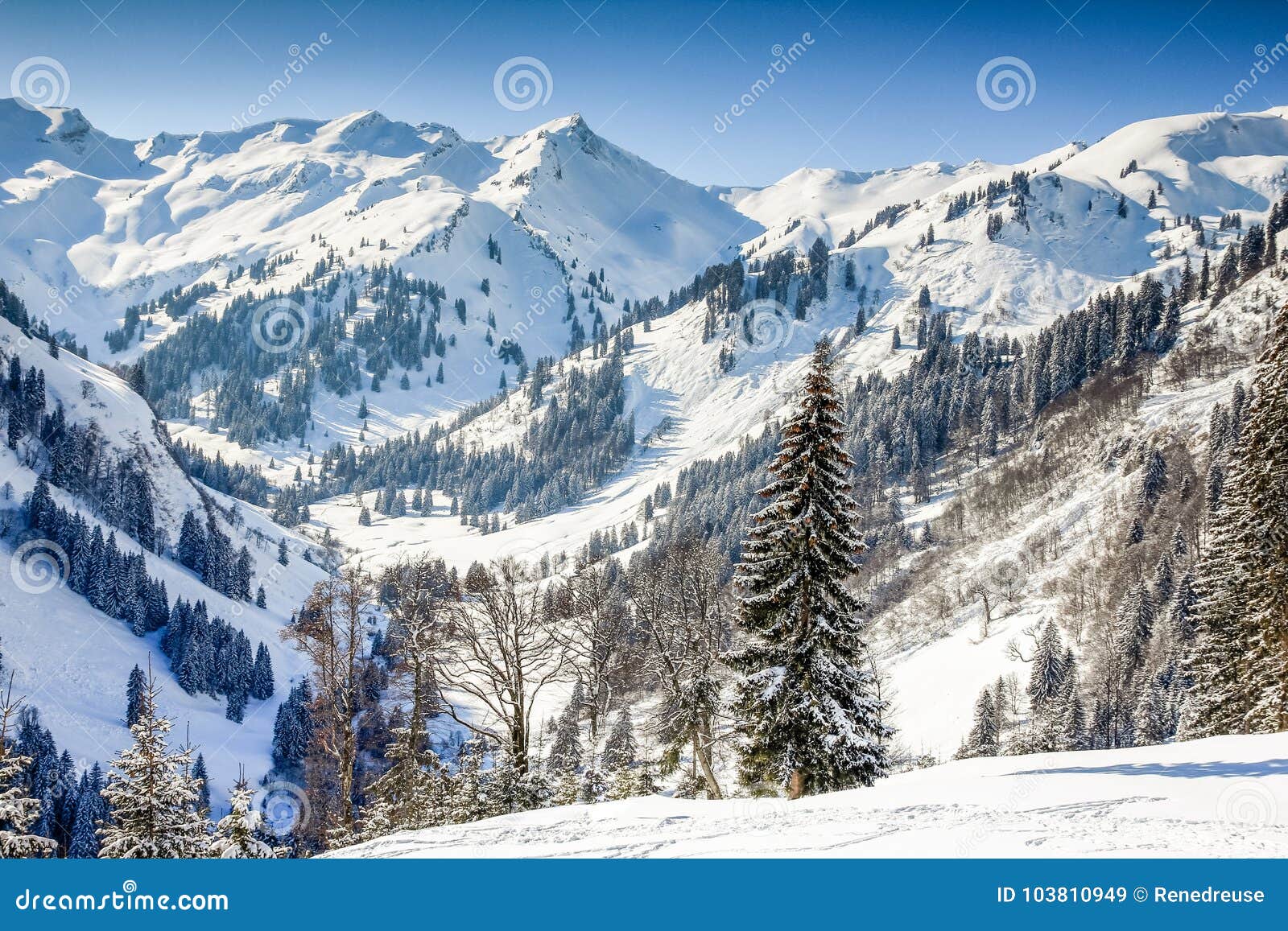 Paesaggio Di Inverno Delle Montagne Con Neve Profonda Il Chiaro Giorno Soleggiato Allgau Baviera Germania Immagine Stock Immagine Di Foresta Nessuno