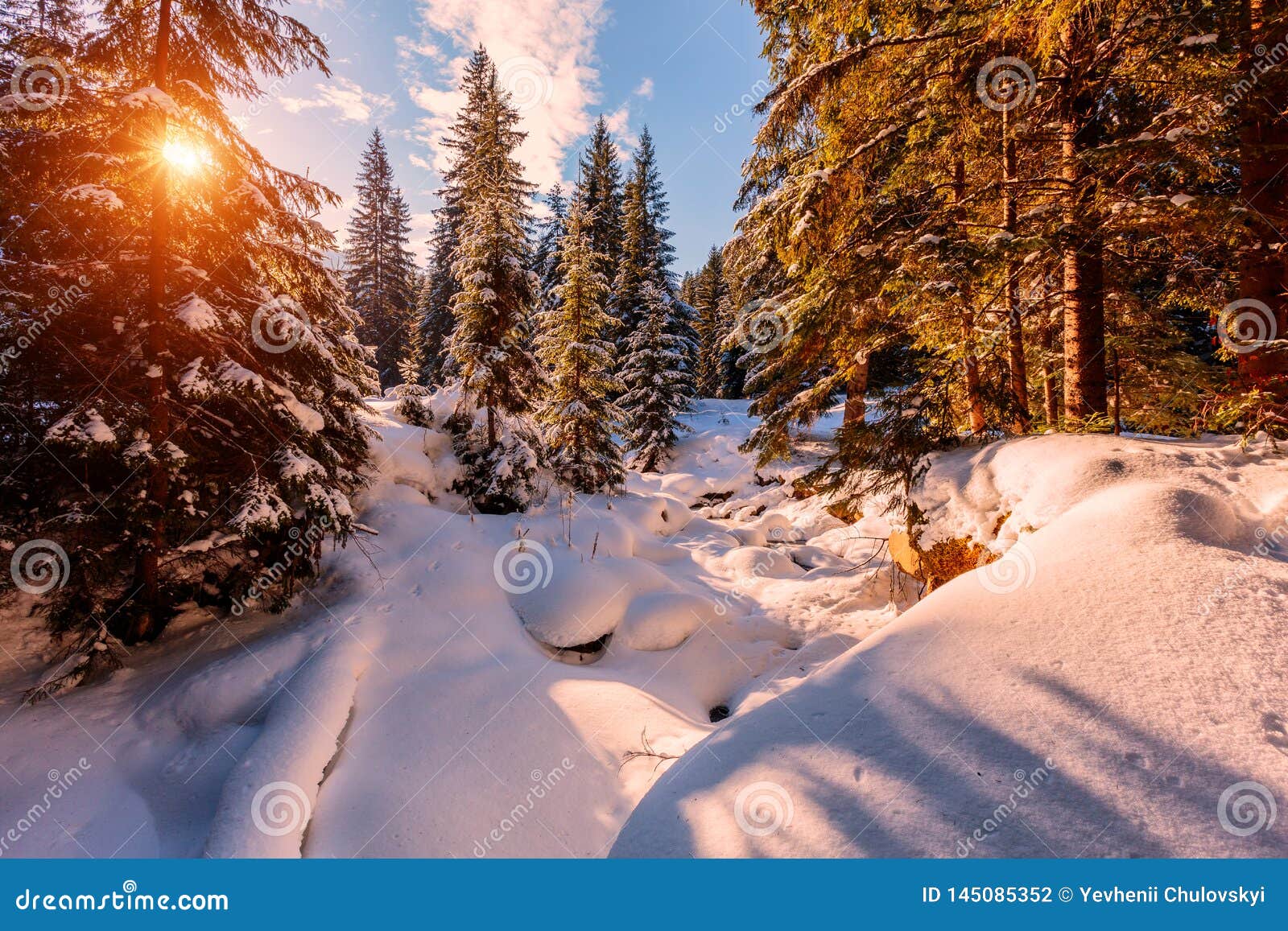 Paesaggio Invernale Meraviglioso Alberi Gelidi Della Foresta Della Montagna Di Inverno Nell Ambito Di Luce Solare Calda Paesaggio Fotografia Stock Immagine Di Bellezza Background