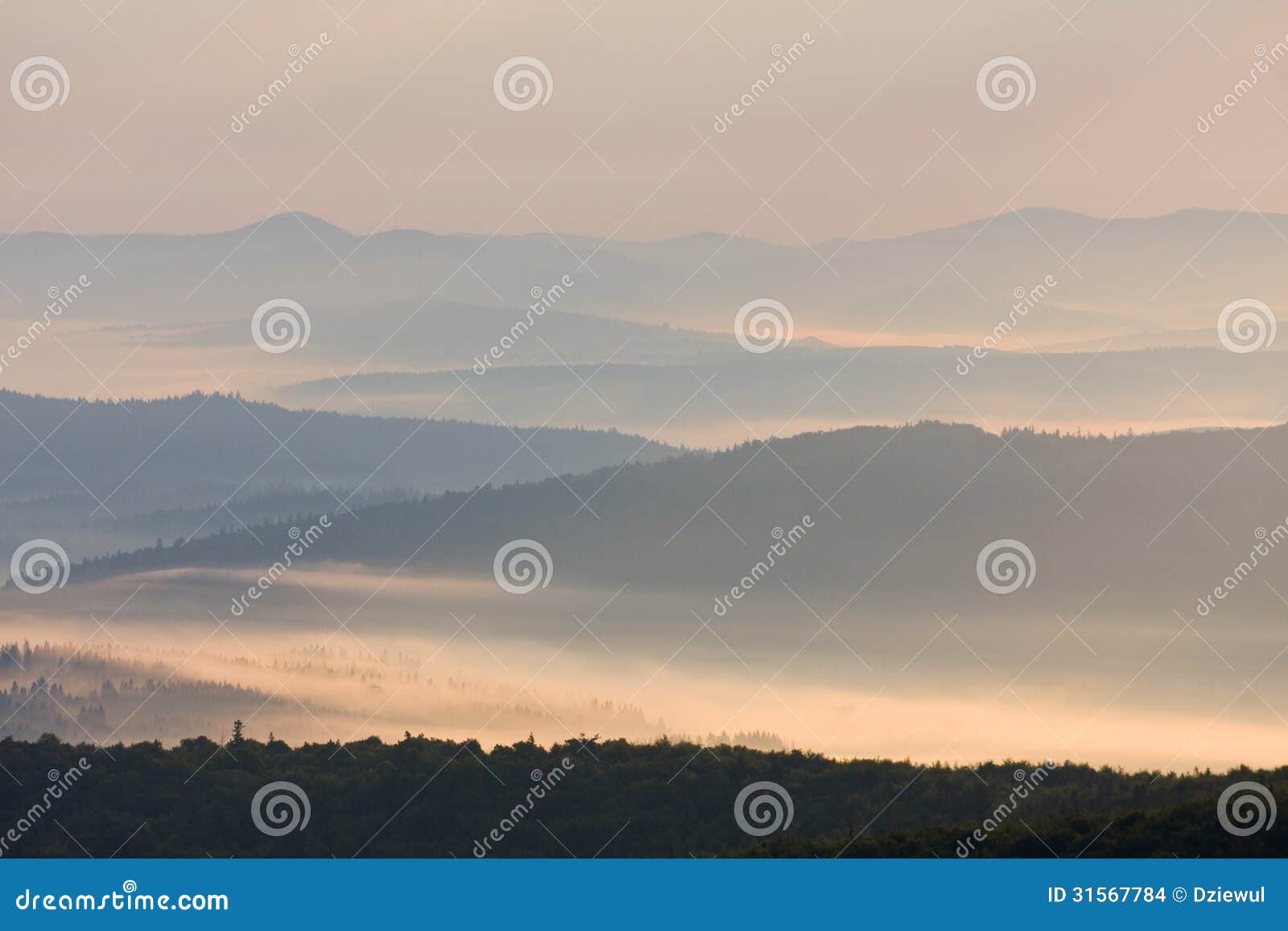 Paesaggio nebbioso in montagne di Bieszczady, Polonia, Europa