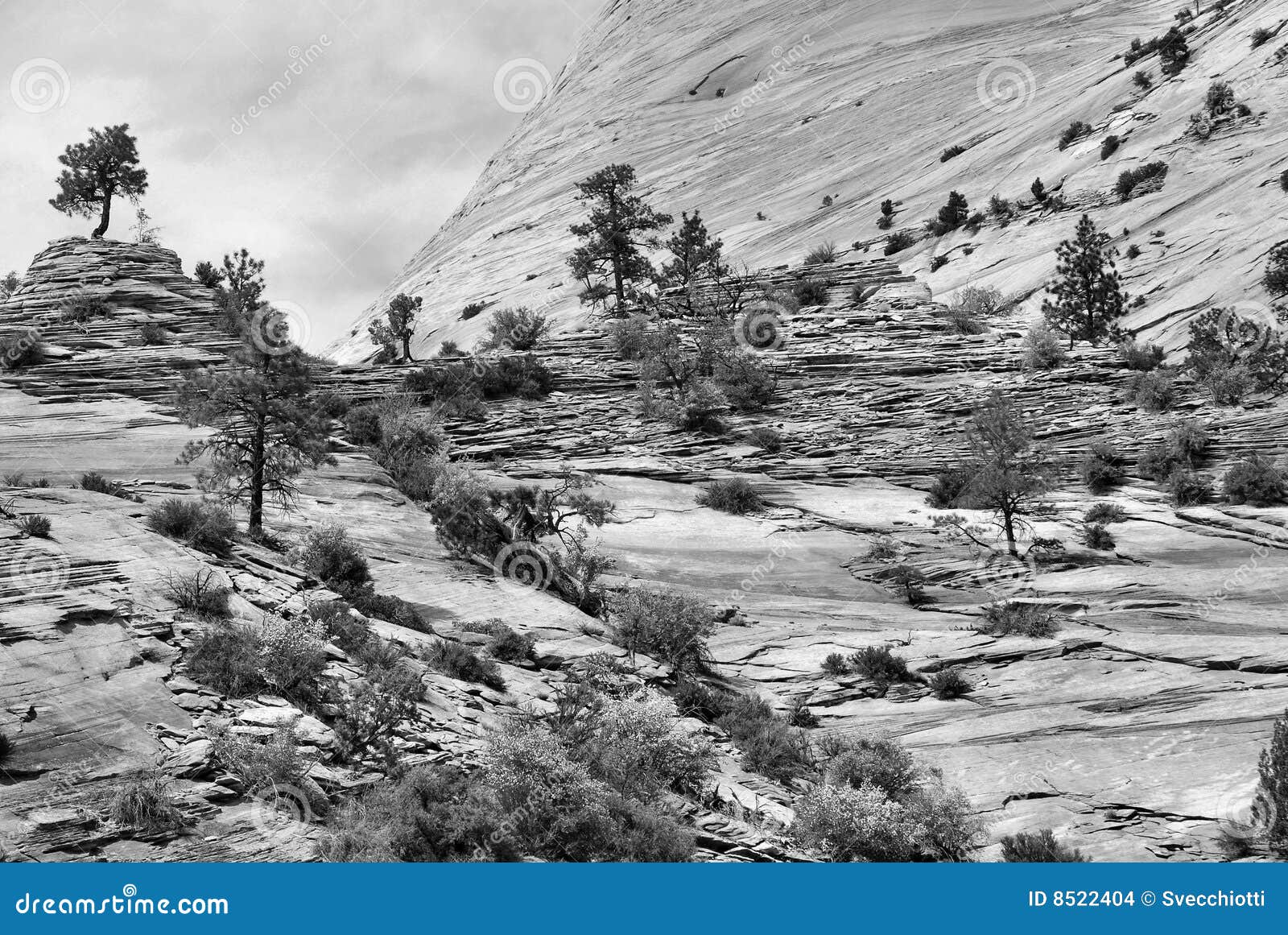 Paesaggio orientale di Zion. L'alto paesaggio del deserto di rotolamento di Zion orientale, bloccato alla sosta nazionale di Zion nell'Utah del sud-ovest.