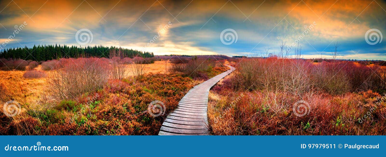 Paesaggio panoramico di autunno con il percorso di legno Backgro della natura di caduta