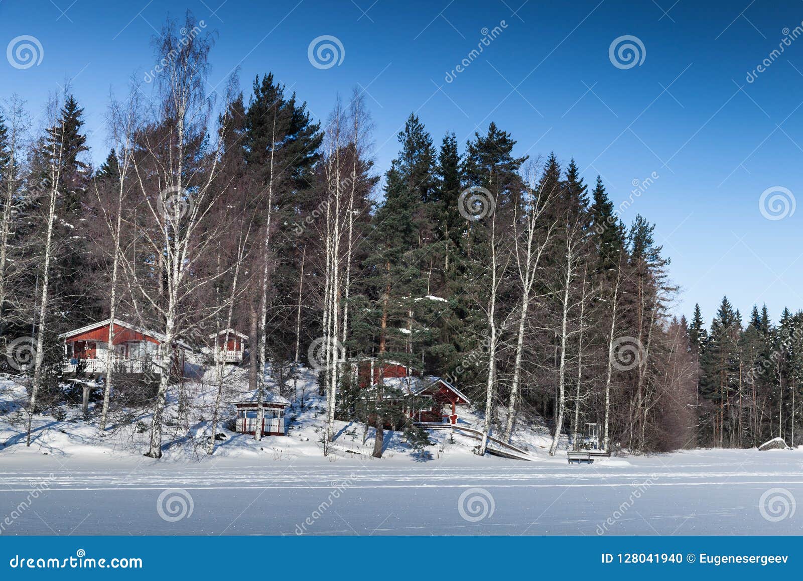Paesaggio rurale di inverno con le case rosse. Paesaggio rurale di inverno con le case di legno rosse in foresta costiera, Finlandia