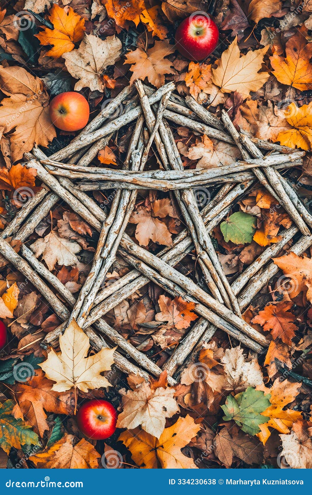 pagan star d  made from branches in autumn forest or garden with red apples around. mabon sabbat, samhain