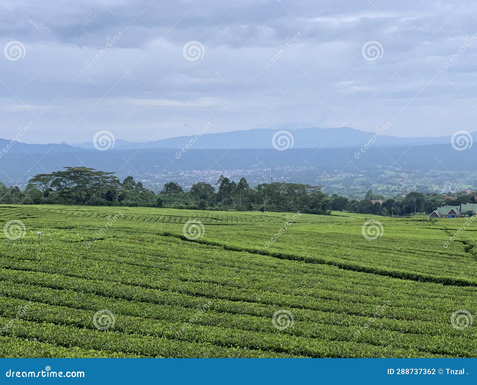 pagar alam lanscape from mountain