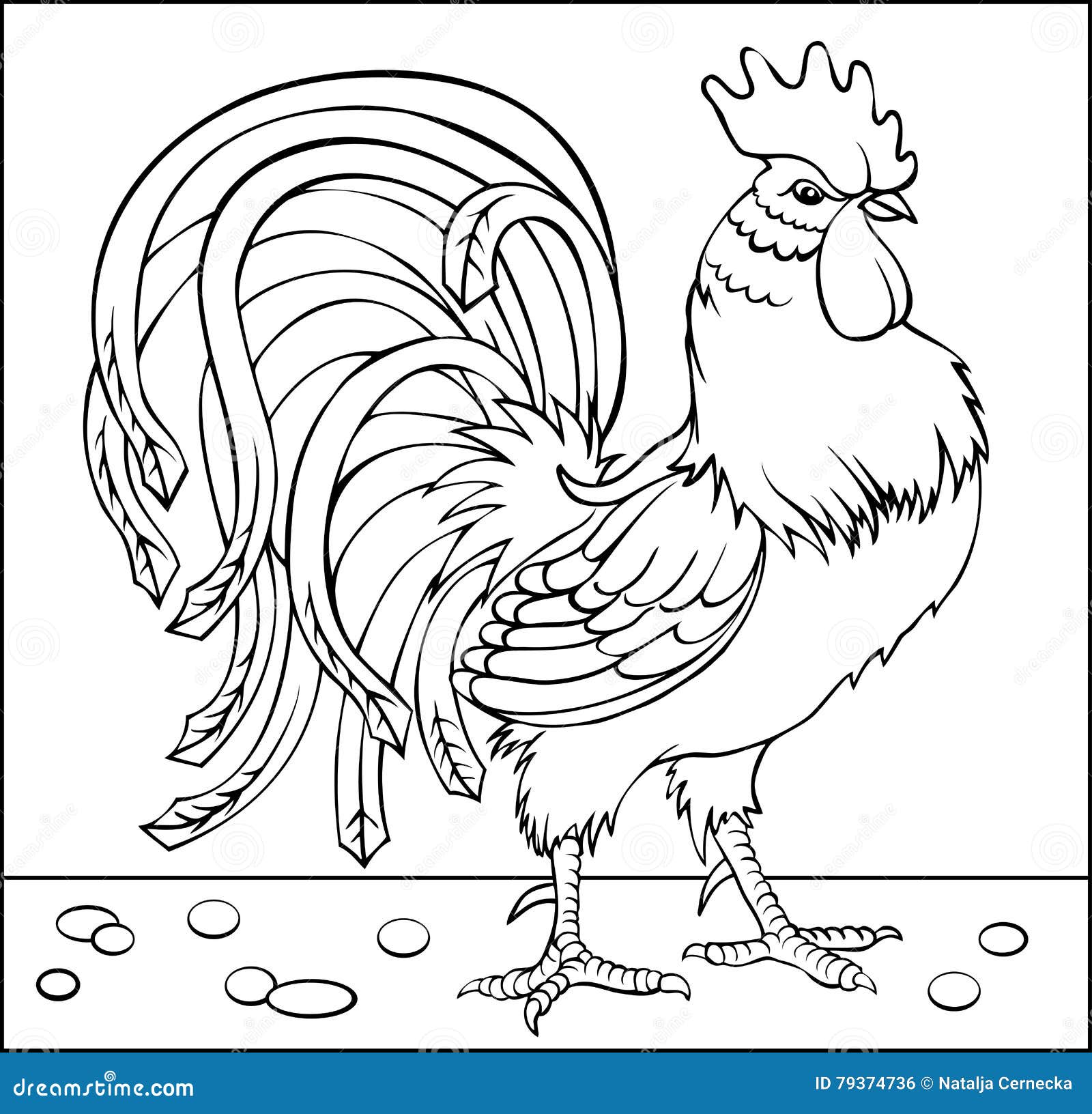 Page Avec Le Dessin  Noir  Et  Blanc  Du Coq  Pour La 