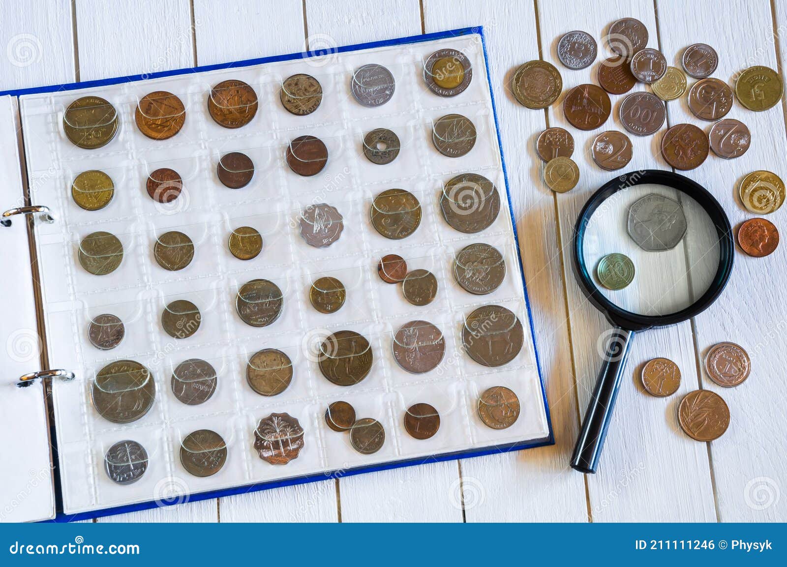 Page De L'album Numismatique Avec Différentes Pièces Sur Une Table Blanche  En Bois Photo stock - Image du centime, faune: 211111246