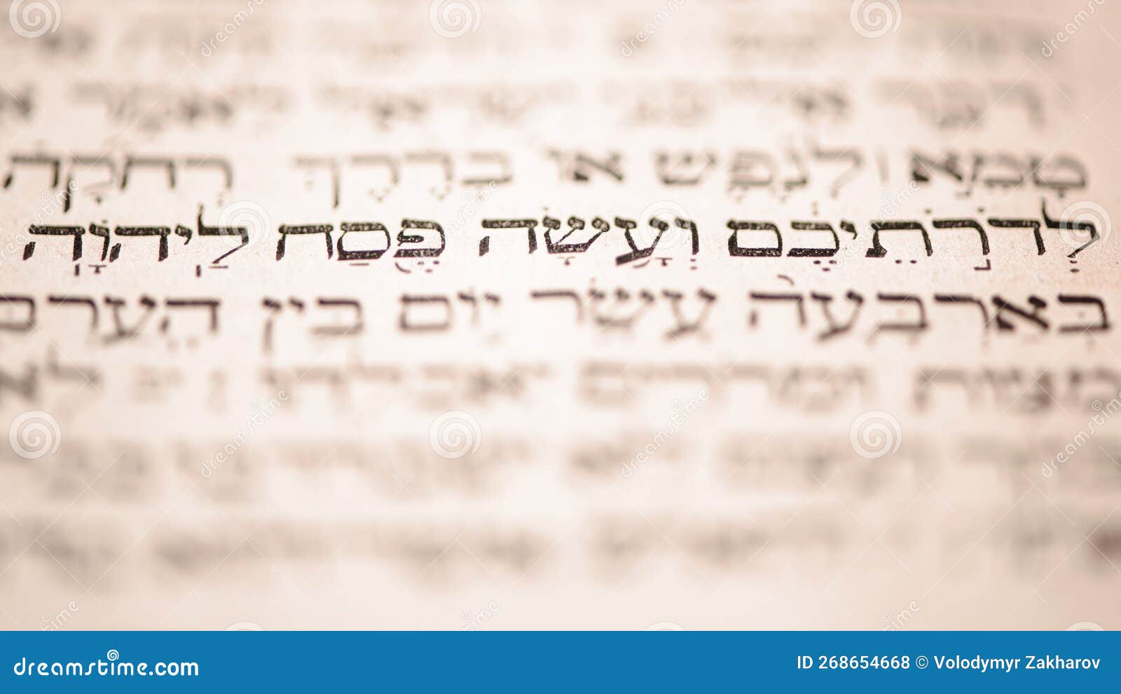 page of old worn shabby jewish book torah. snippet hebrew bible text: offer the passover sacrifice to jehovah. closeup