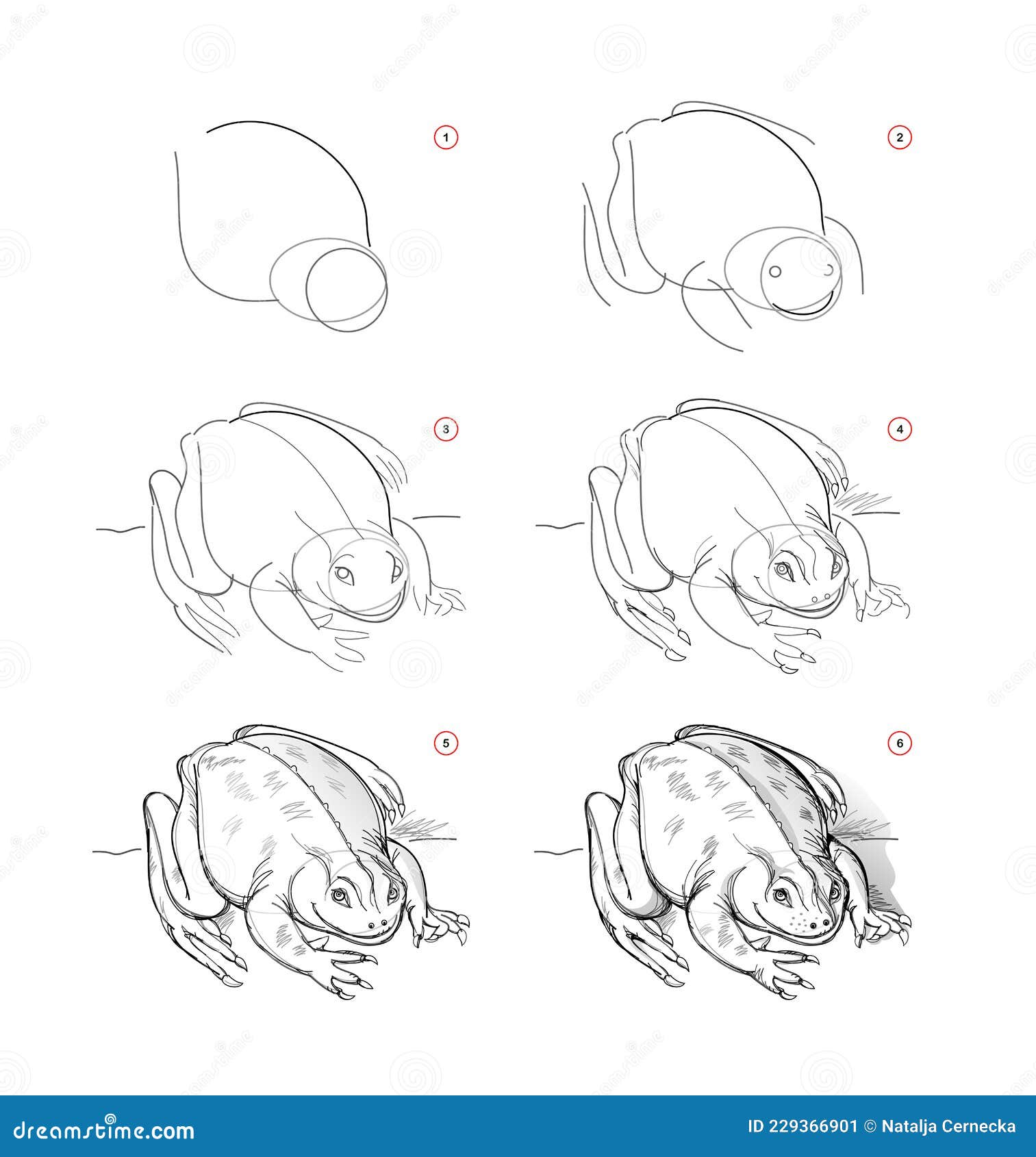 page shows how to learn to draw sketch of toad. creation step by step pencil drawing. educational page for artists. textbook for