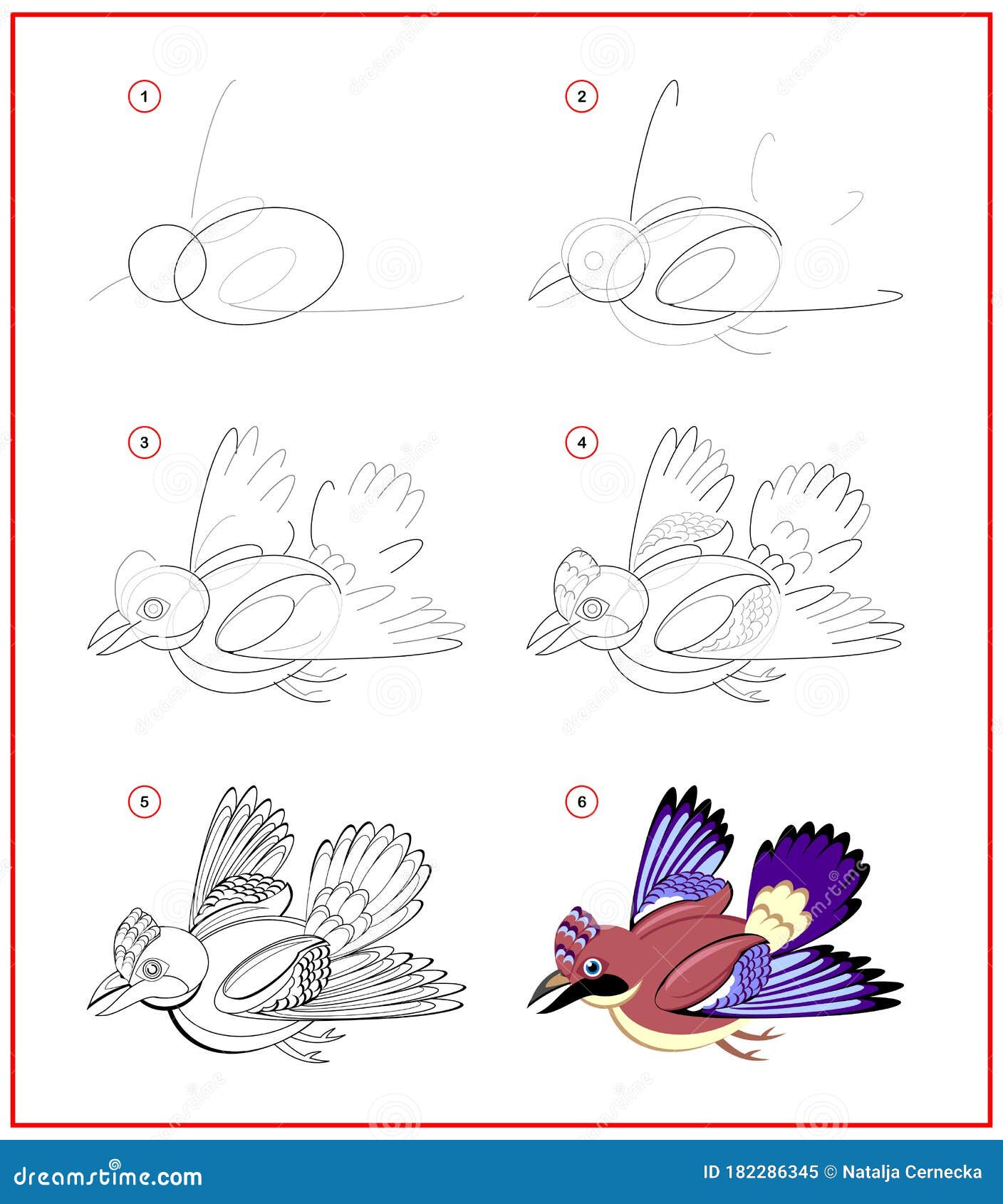 How to Draw a Bird – Wildsight