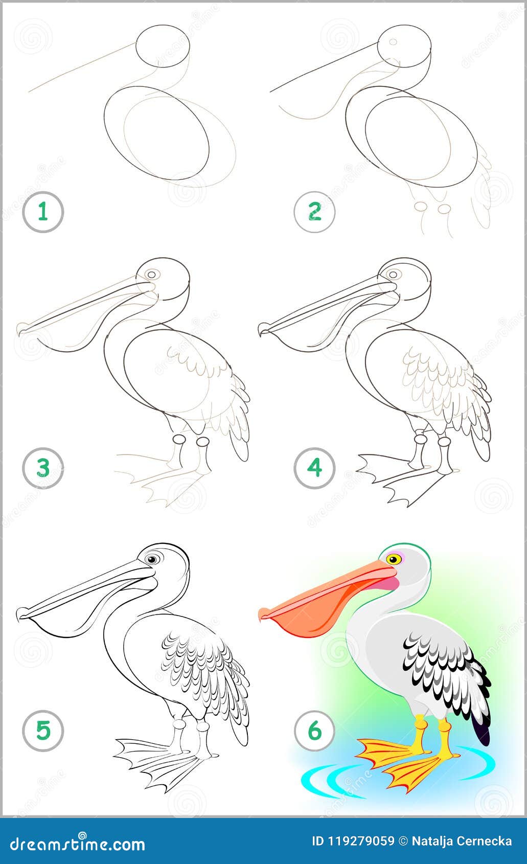 Page Shows How To Learn Step by Step To Draw a Cute Pelican. Developing