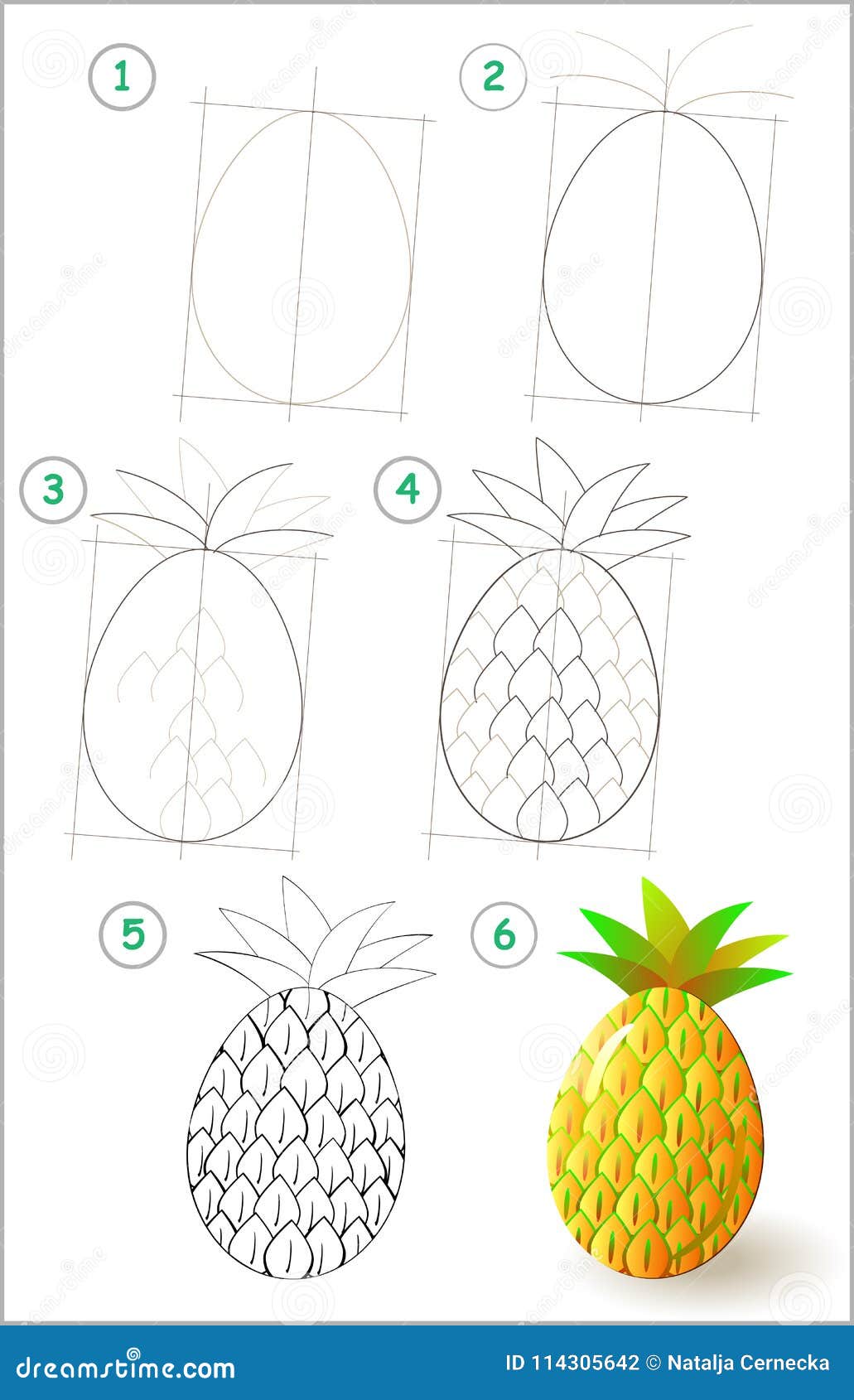Page Shows How To Learn Step by Step To Draw a Pineapple. Stock Vector - Illustration of pencil, line: 114305642 Page Shows How To Learn Step by Step To Draw a Pineapple. Stock Vector - Illustration of pencil, line: 114305642
