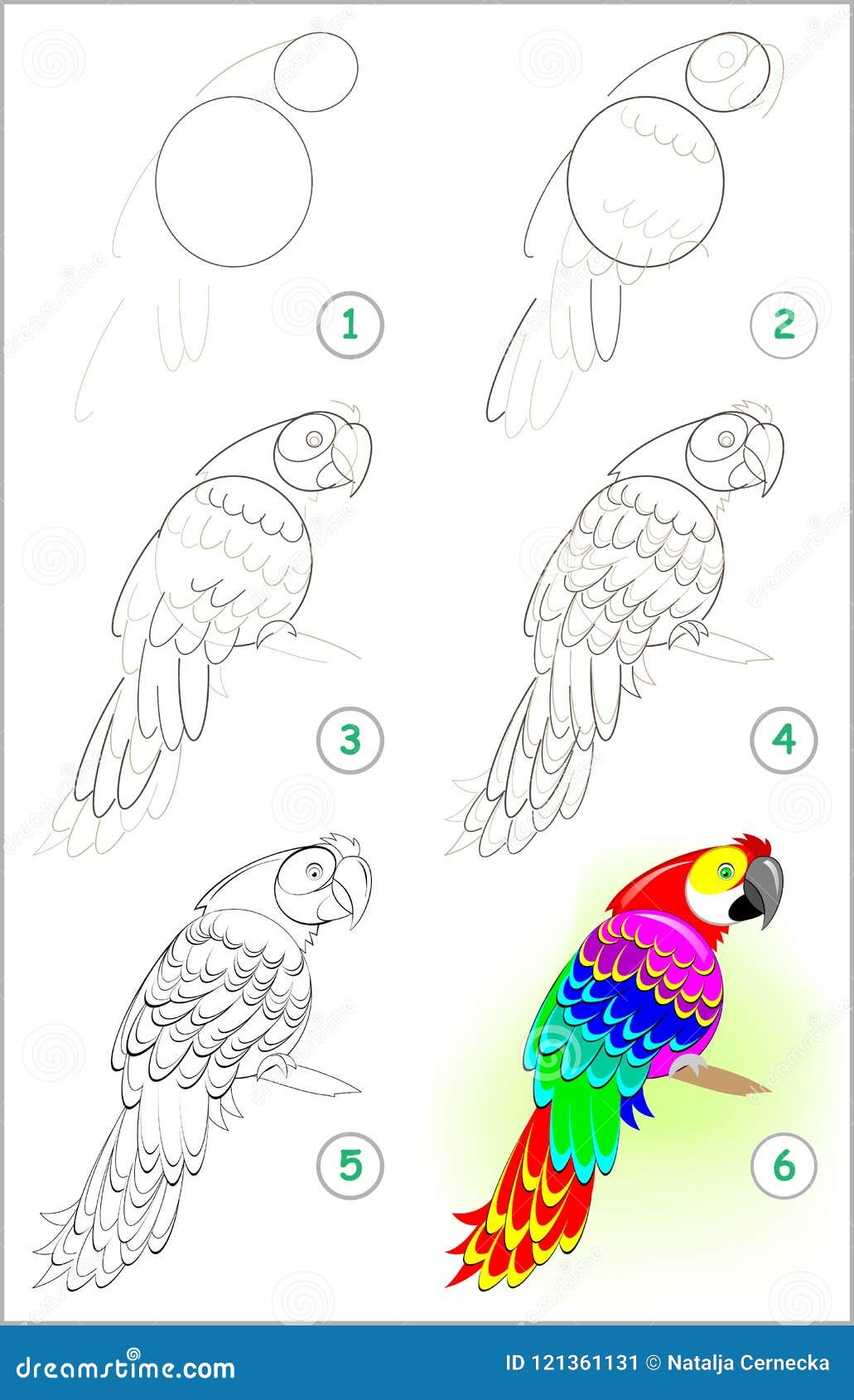 How to Draw a Parrot - HelloArtsy