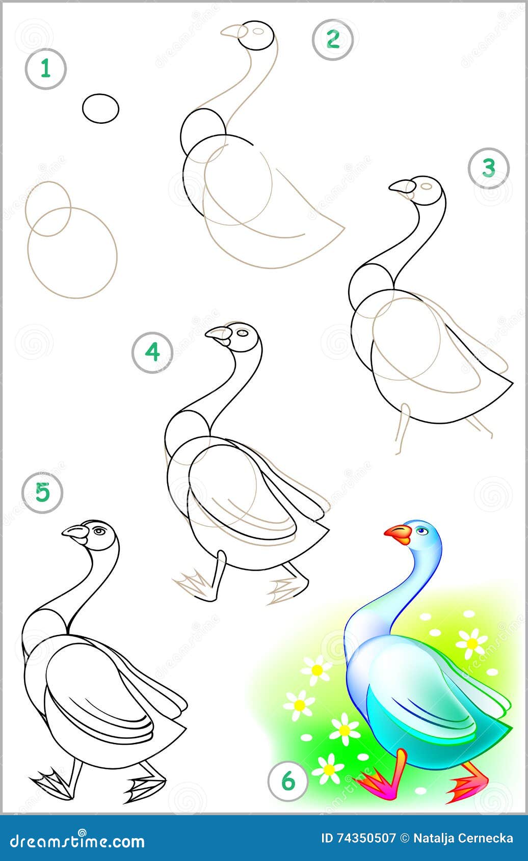 How To Draw A Goose Easy Step By Step