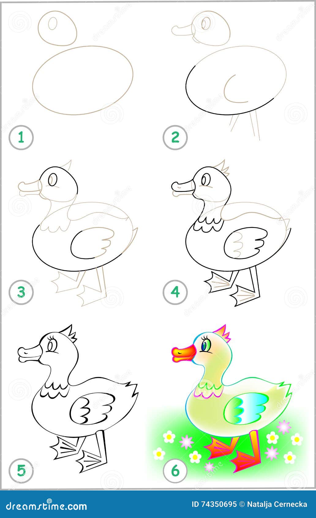 How To Draw A Duck Step By Step For Kids
