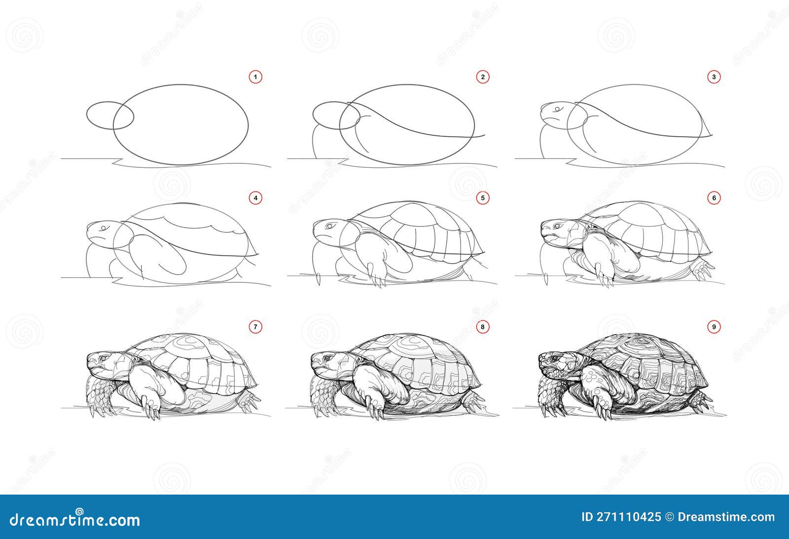 pencil sketch shading sea turtle | - DragoArt
