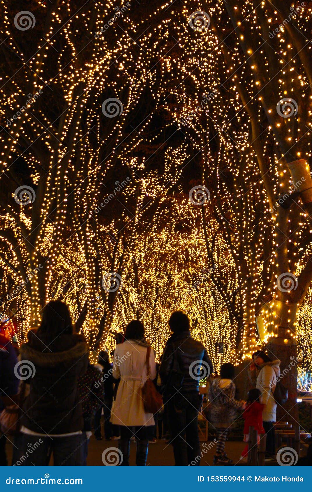 In the pageant of light editorial stock image. Image of miyagi - 153559944