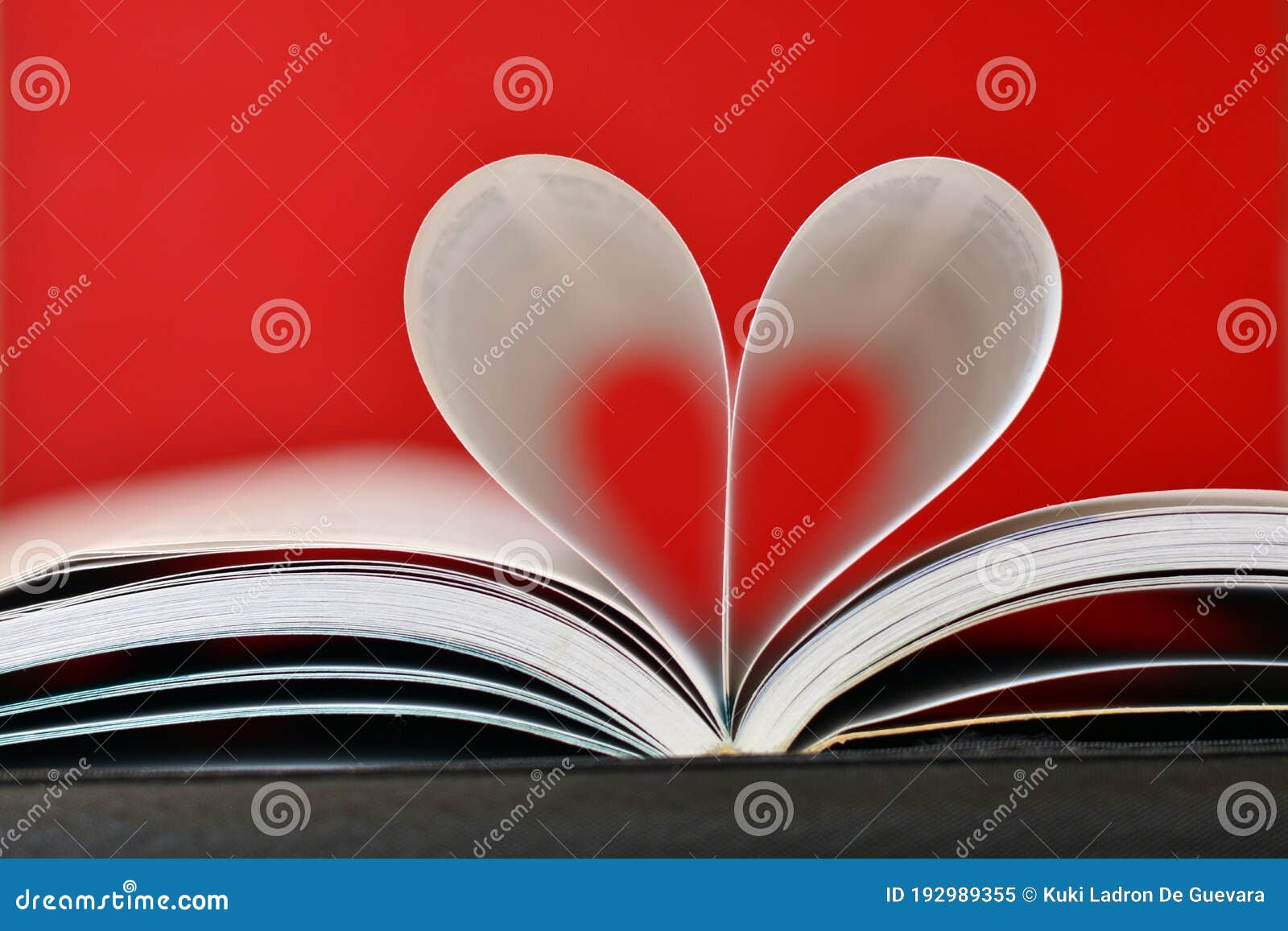 pages of a book curved into a heart 