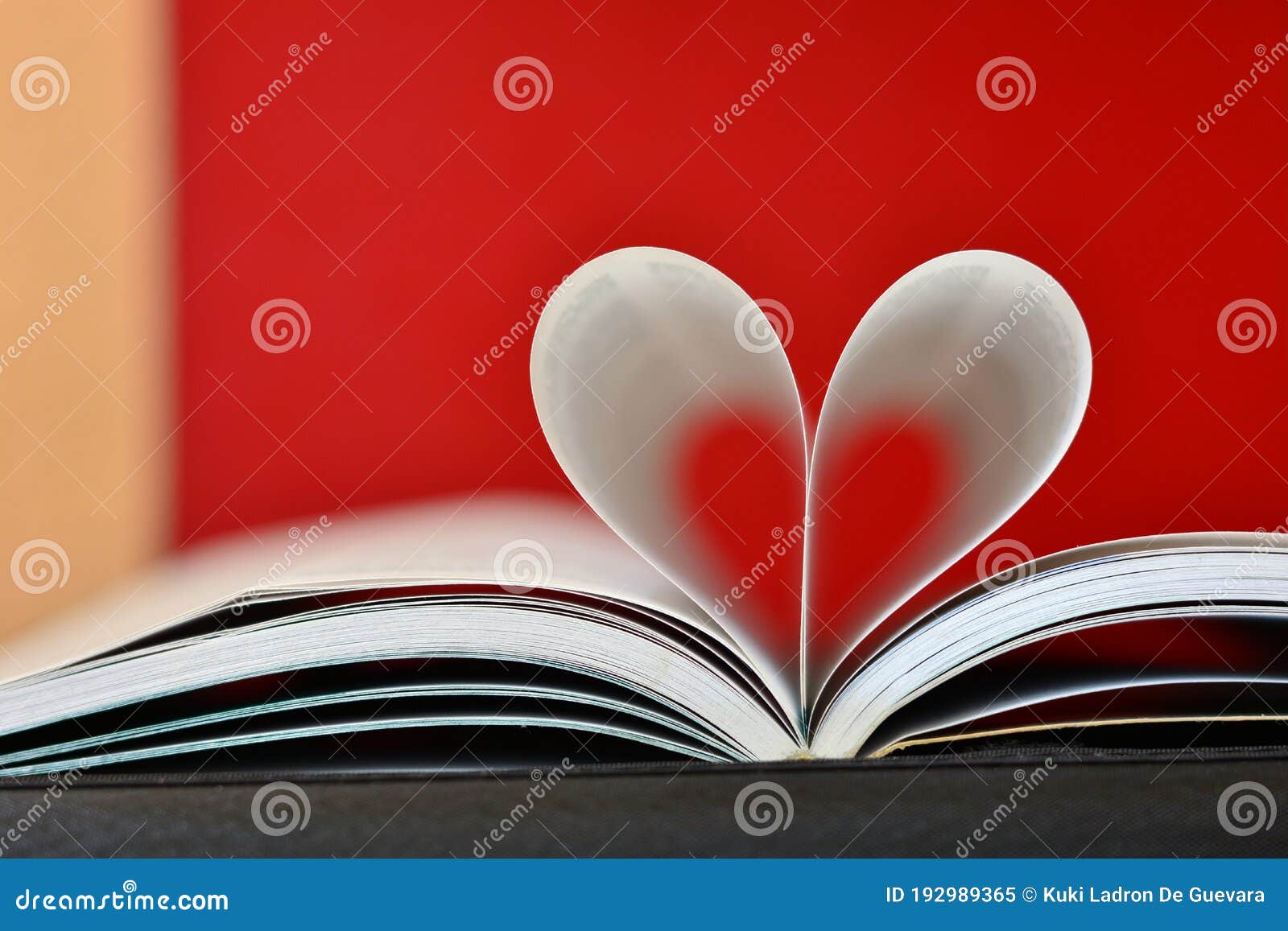 pages of a book curved into a heart 