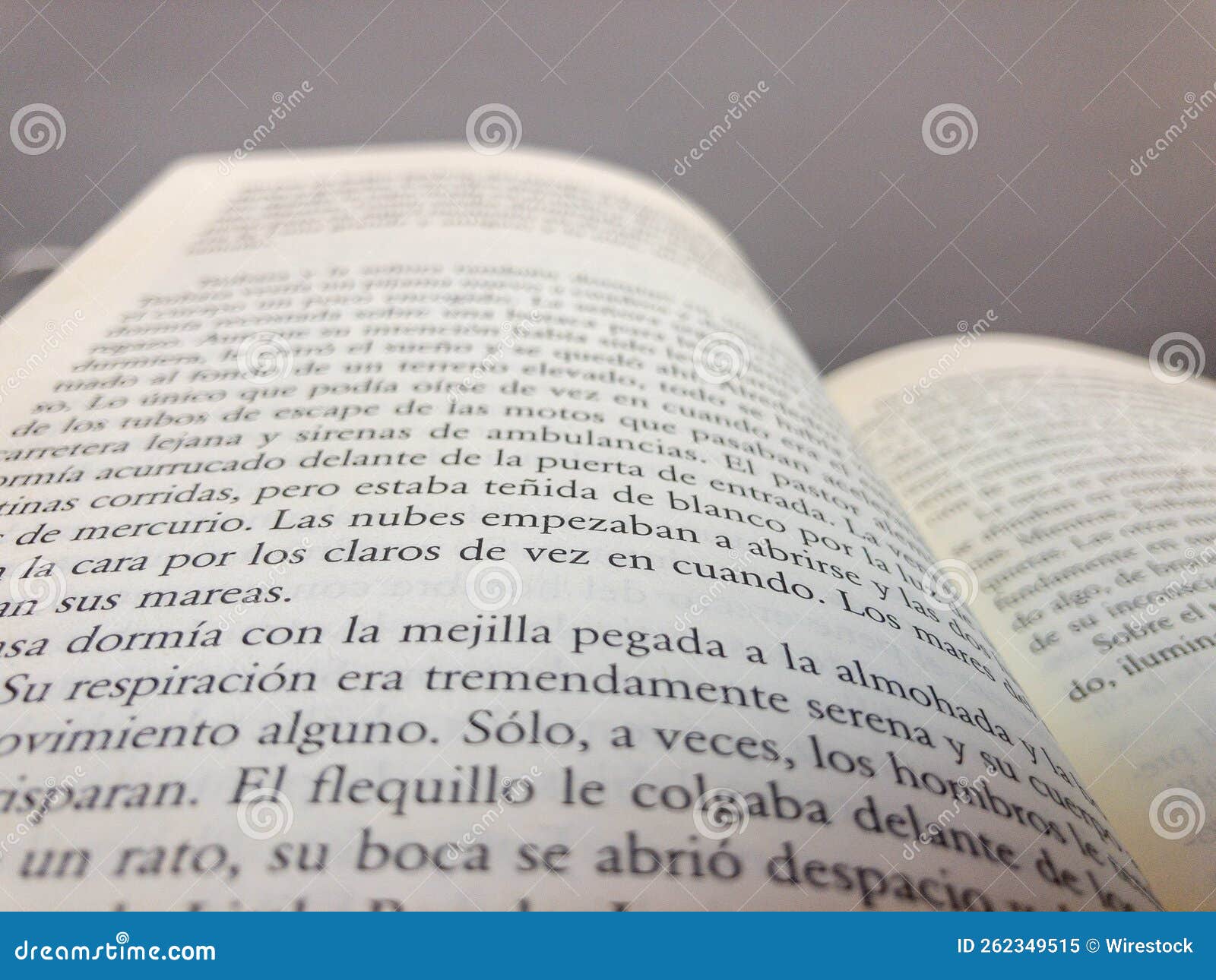 Pages of an Open Book in Spanish Stock Image Image of text, read