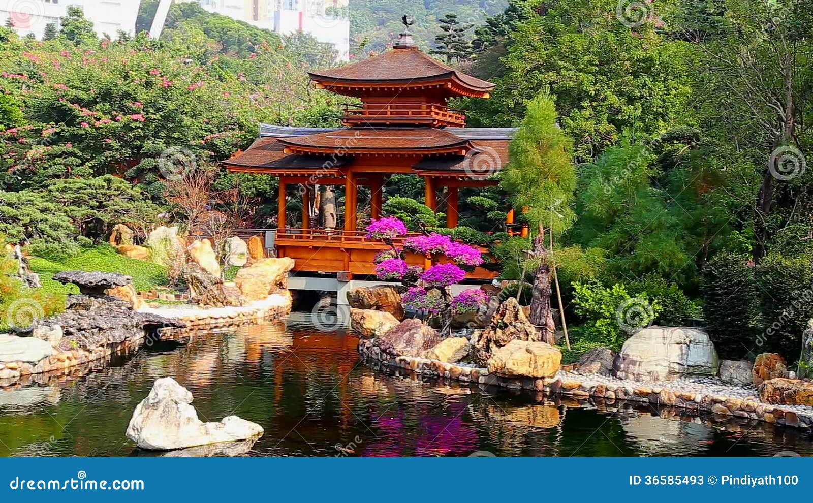 Pagoda Dans Le Jardin Chinois De Zen Métrage 6 Pagoda Dans Le Jardin