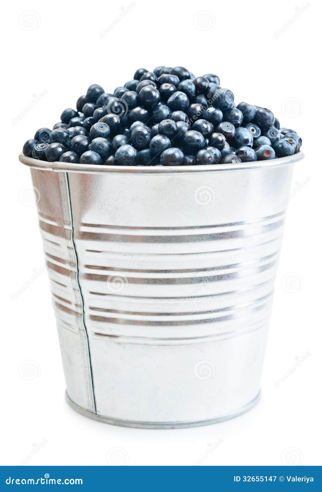 A Pail Full of Freshly Picked Blueberries Stock Image Image of