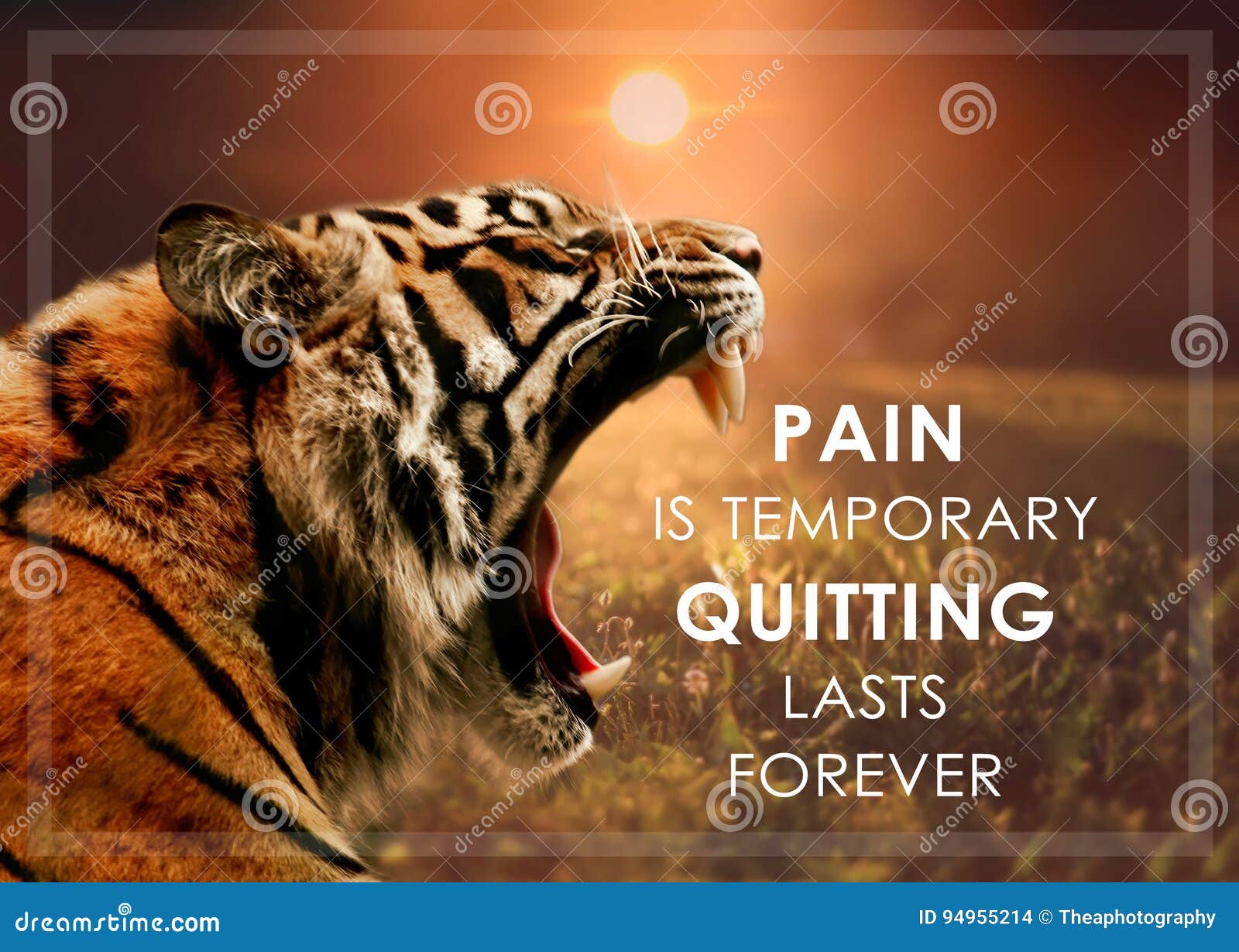 Pain Is Only Temporary Quitting Last Forever Stock Photo Image Of Sign Inspirational