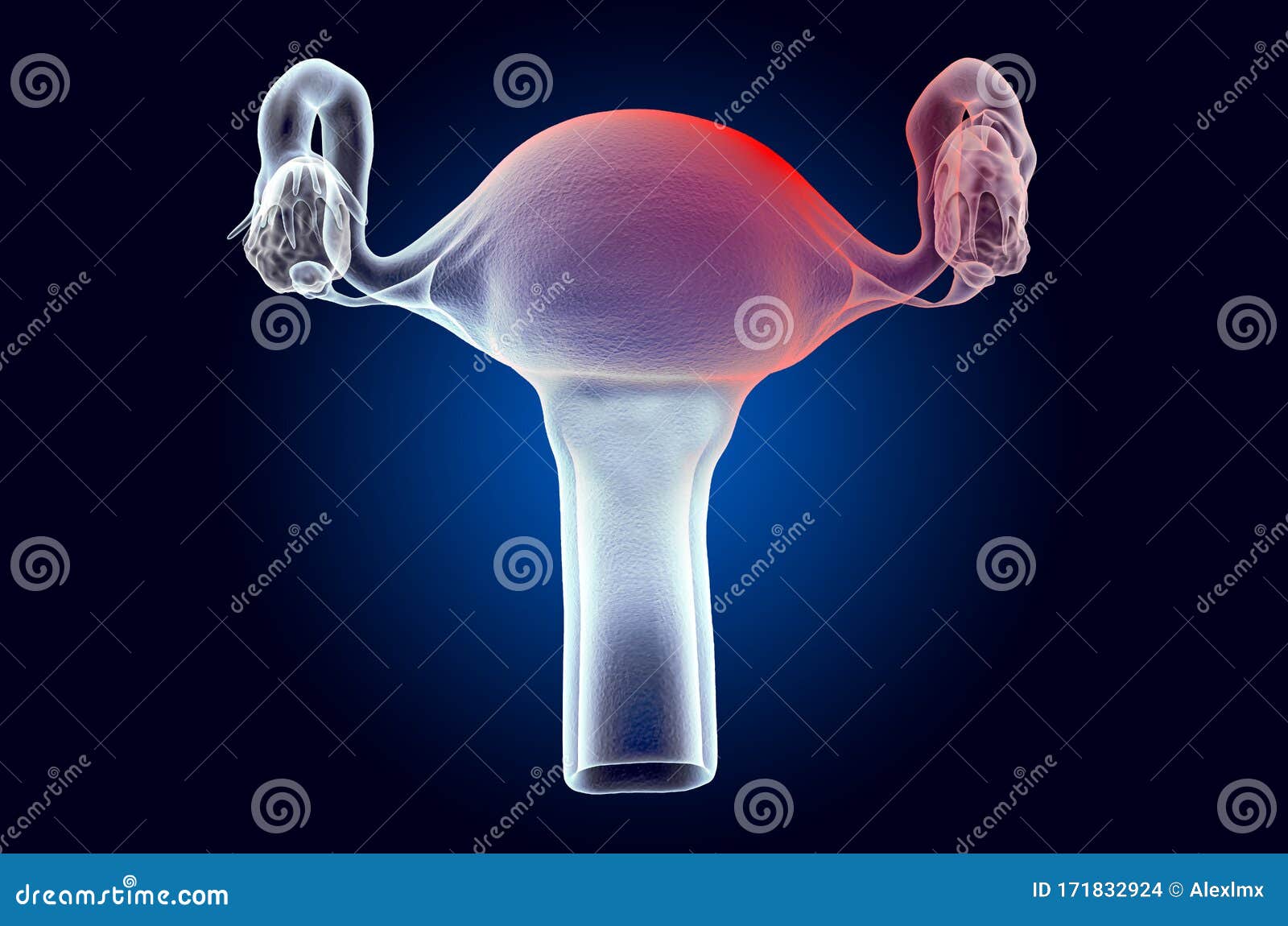 pain in uterus concept. ghost light effect, x-ray hologram. 3d rendering