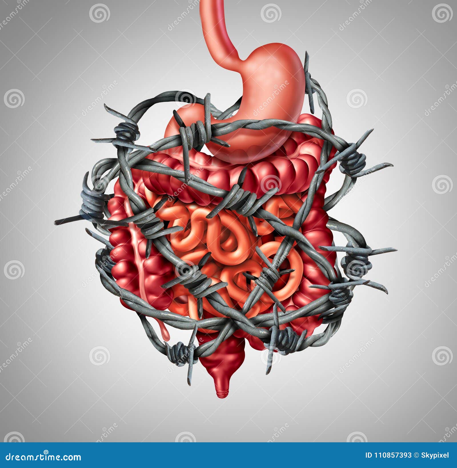 painful intestine digestion