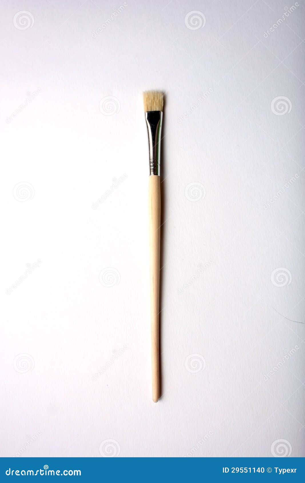 A paint brush stock photo. Image of vertical, white, painting 29551140
