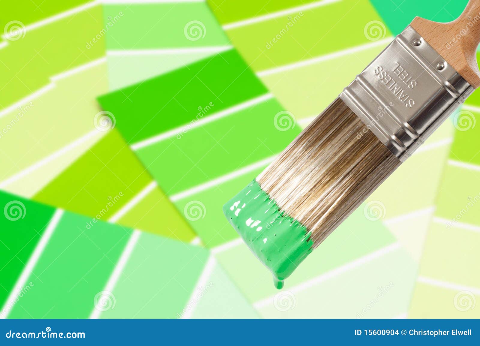 Paint Brush Green stock photo. Image of colour, paintbrush 15600904