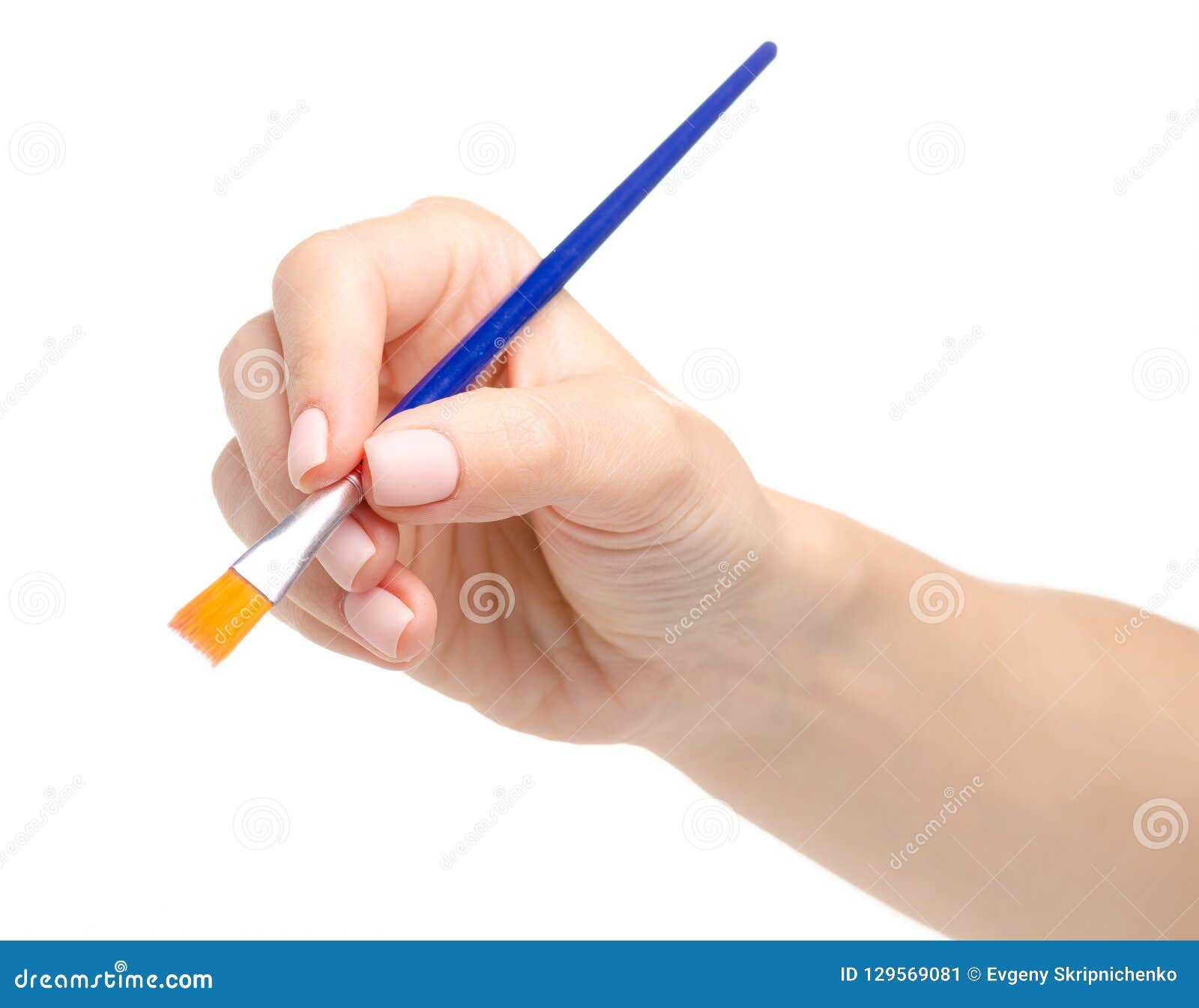 Paint brush in hand stock image. Image of holding, artist 129569081