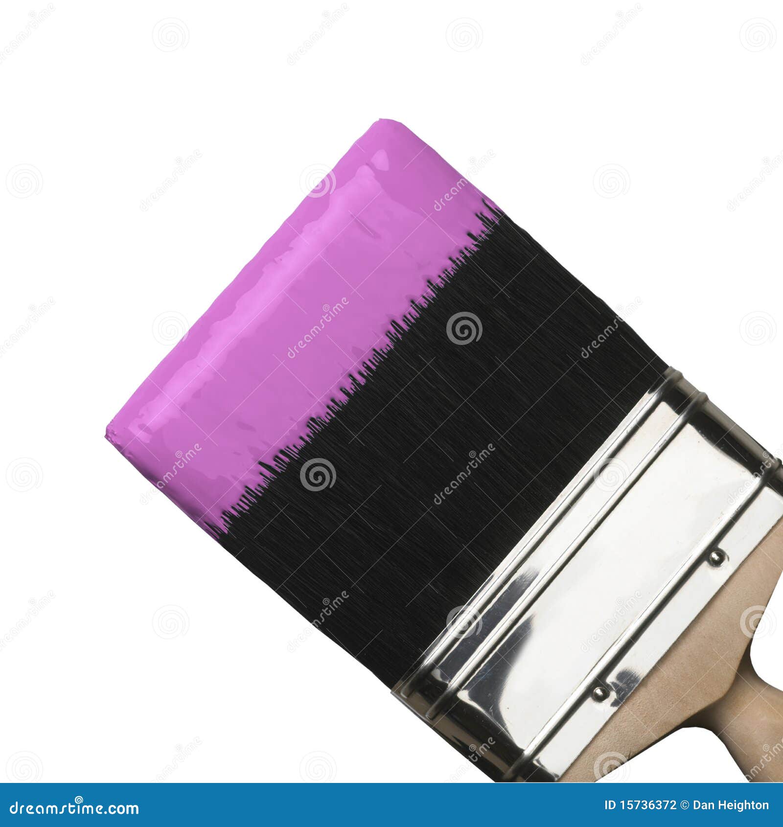 Paint Brush with Pink Paint Stock Photo Image of paint, bristle 15736372