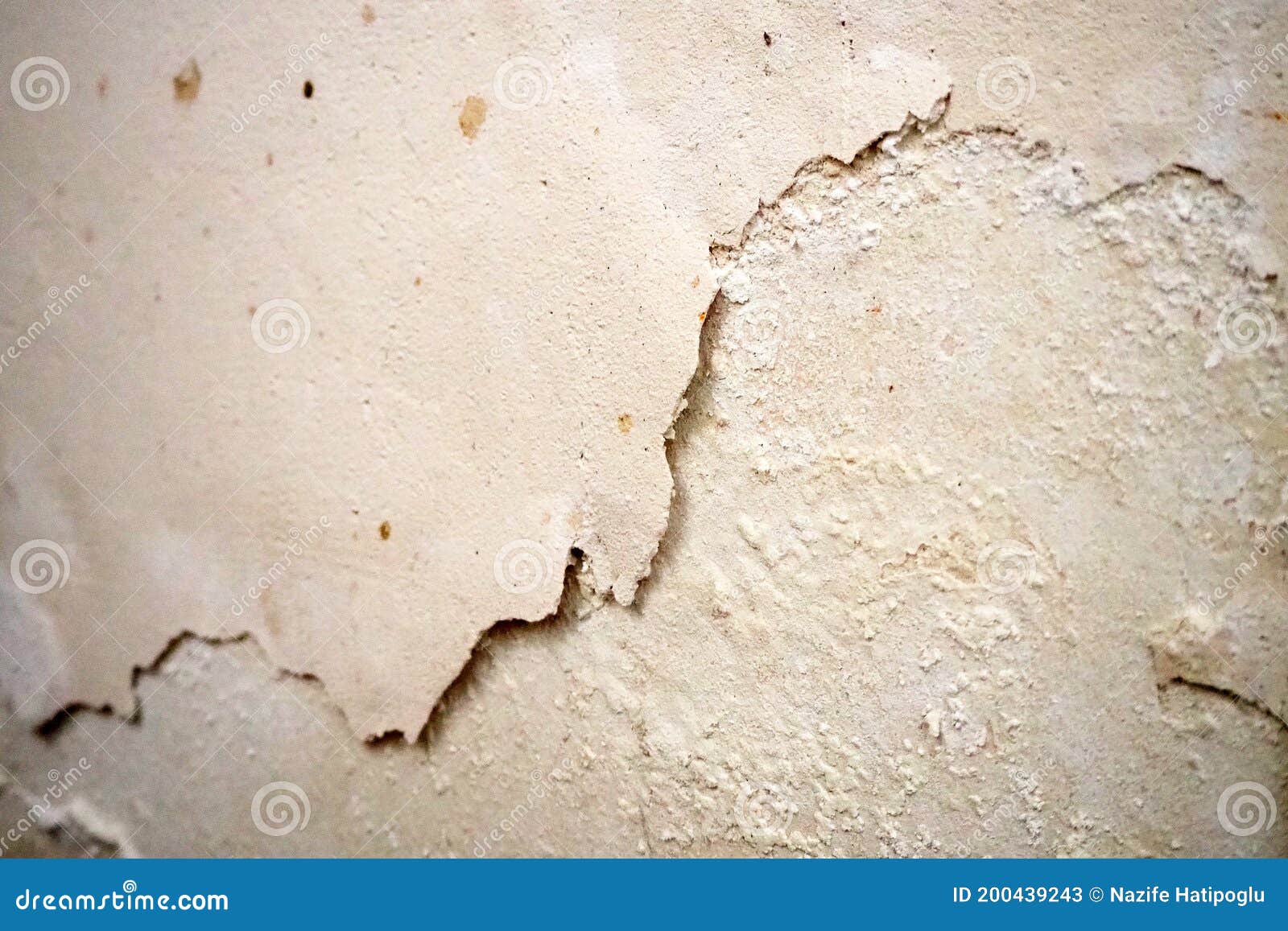 The Paint of the Damp Wall Has Rotted, the Paint of the Wall Has Peeled