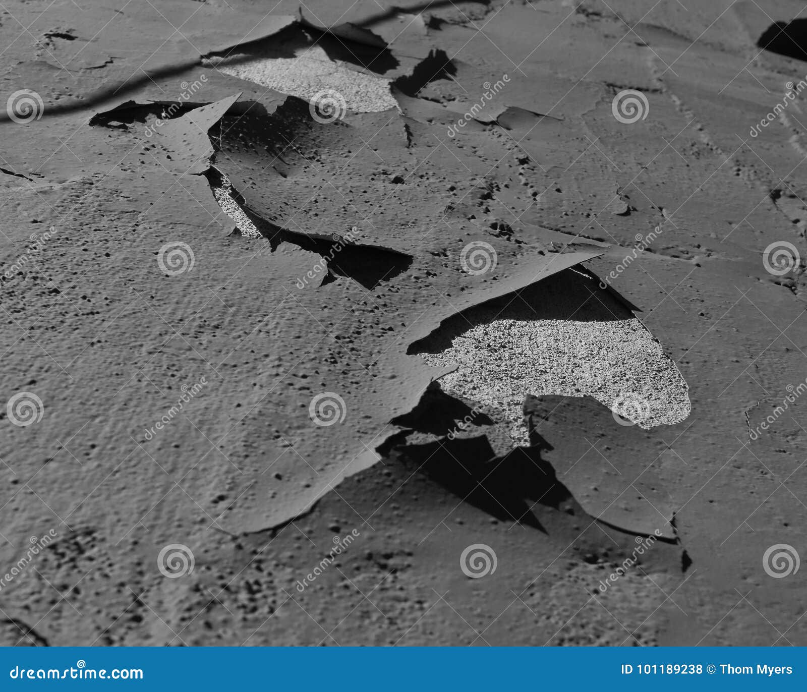 Paint peeling away stock photo. Image of thick, peeling 101189238