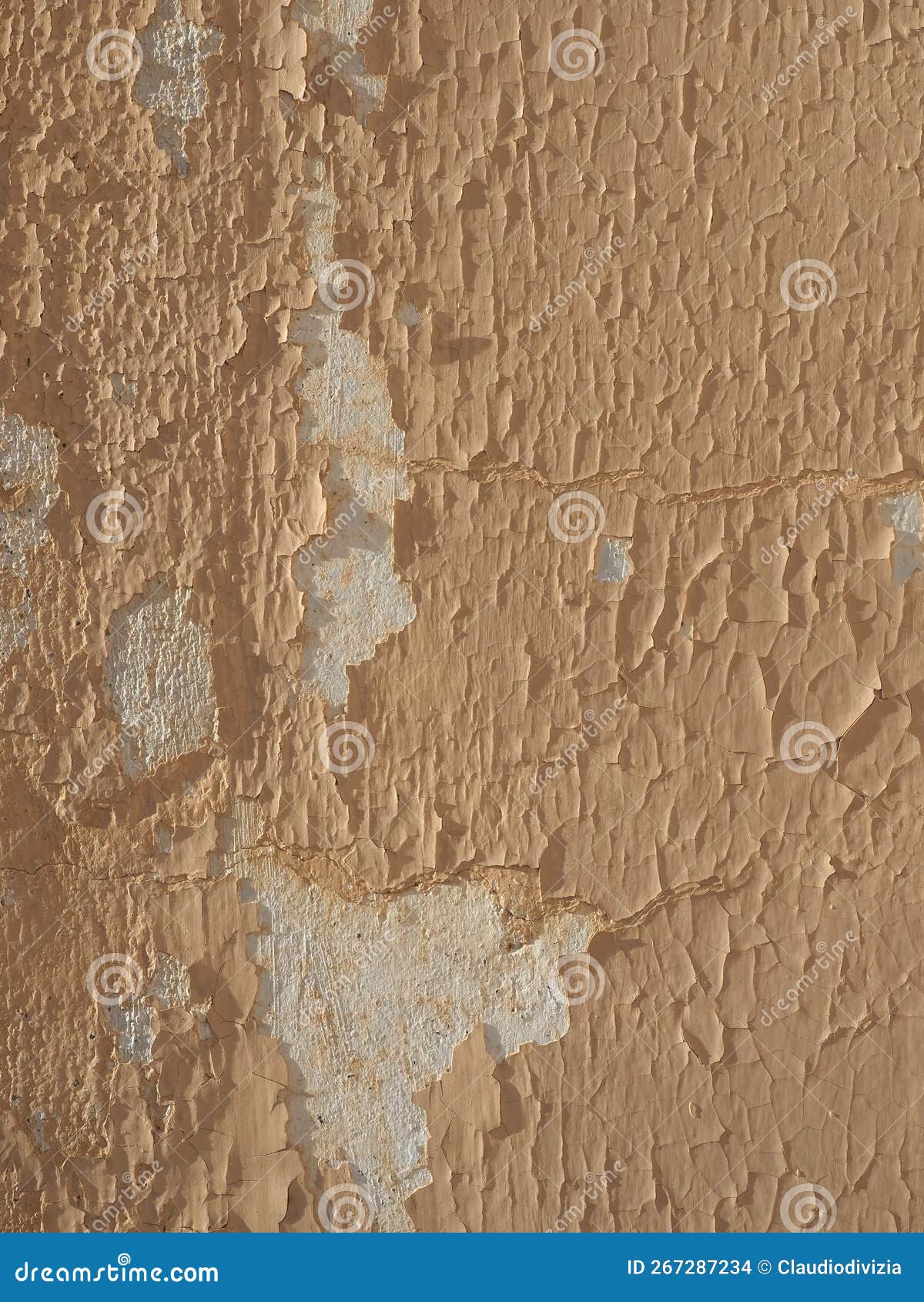 Paint peeling off wall stock photo. Image of moisture 267287234