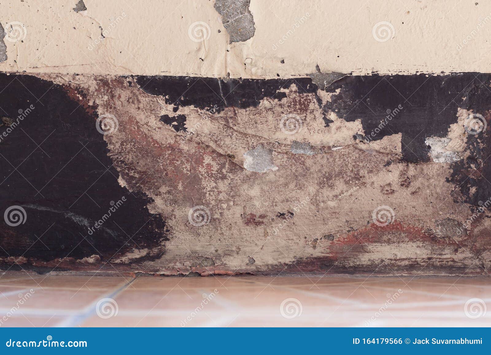Peeling Paint on the Wall of the House Stock Photo Image of cute