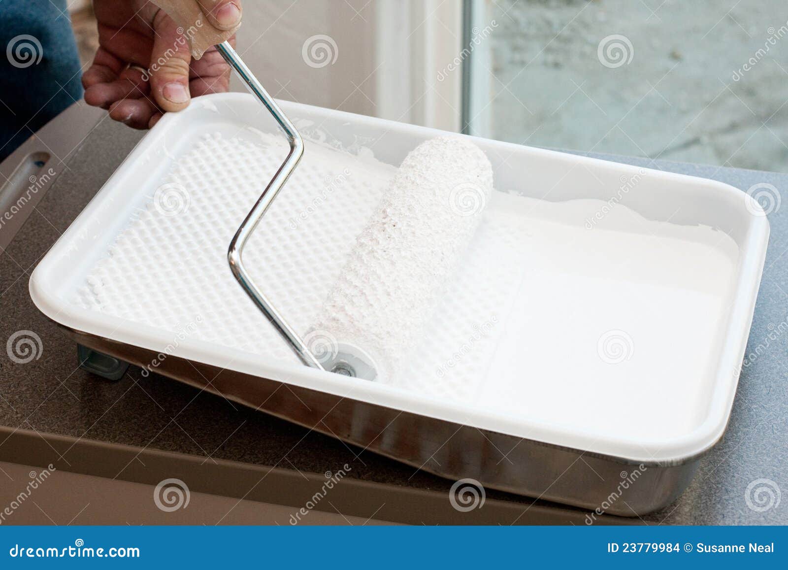 Paint Roller in Tray Filled with White Paint Stock Photo Image of