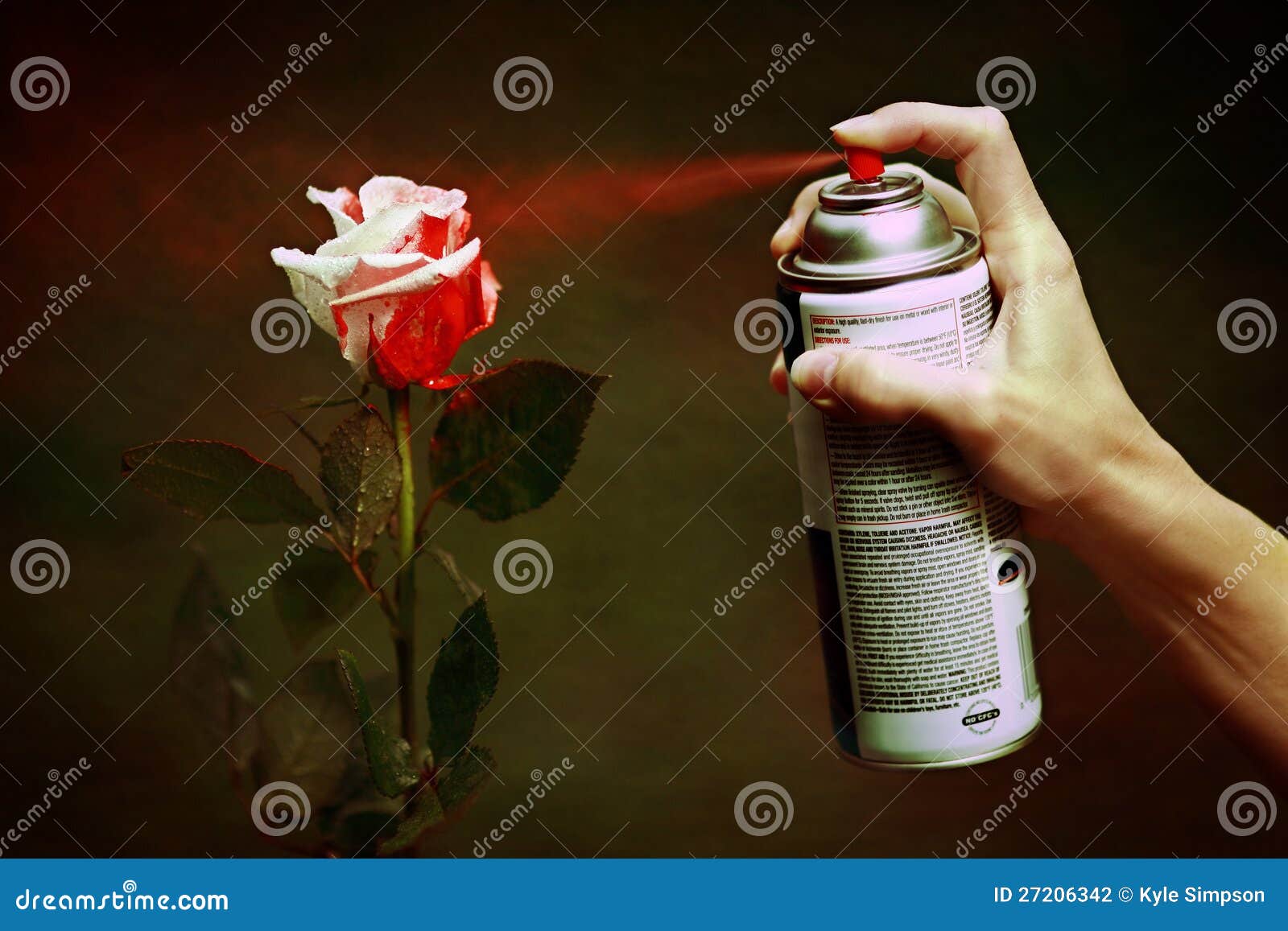 Paint the Roses Red stock photo. Image of rose, paint 27206342