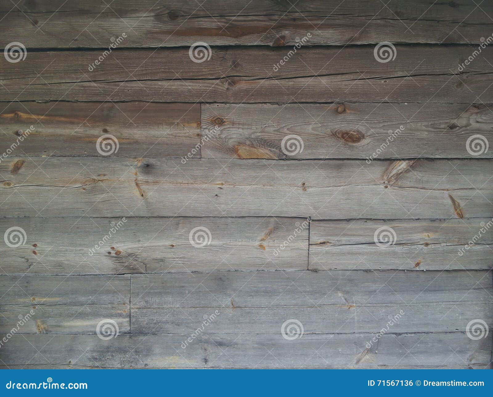 Paint wood gray stock photo. Image of wood, 71567136