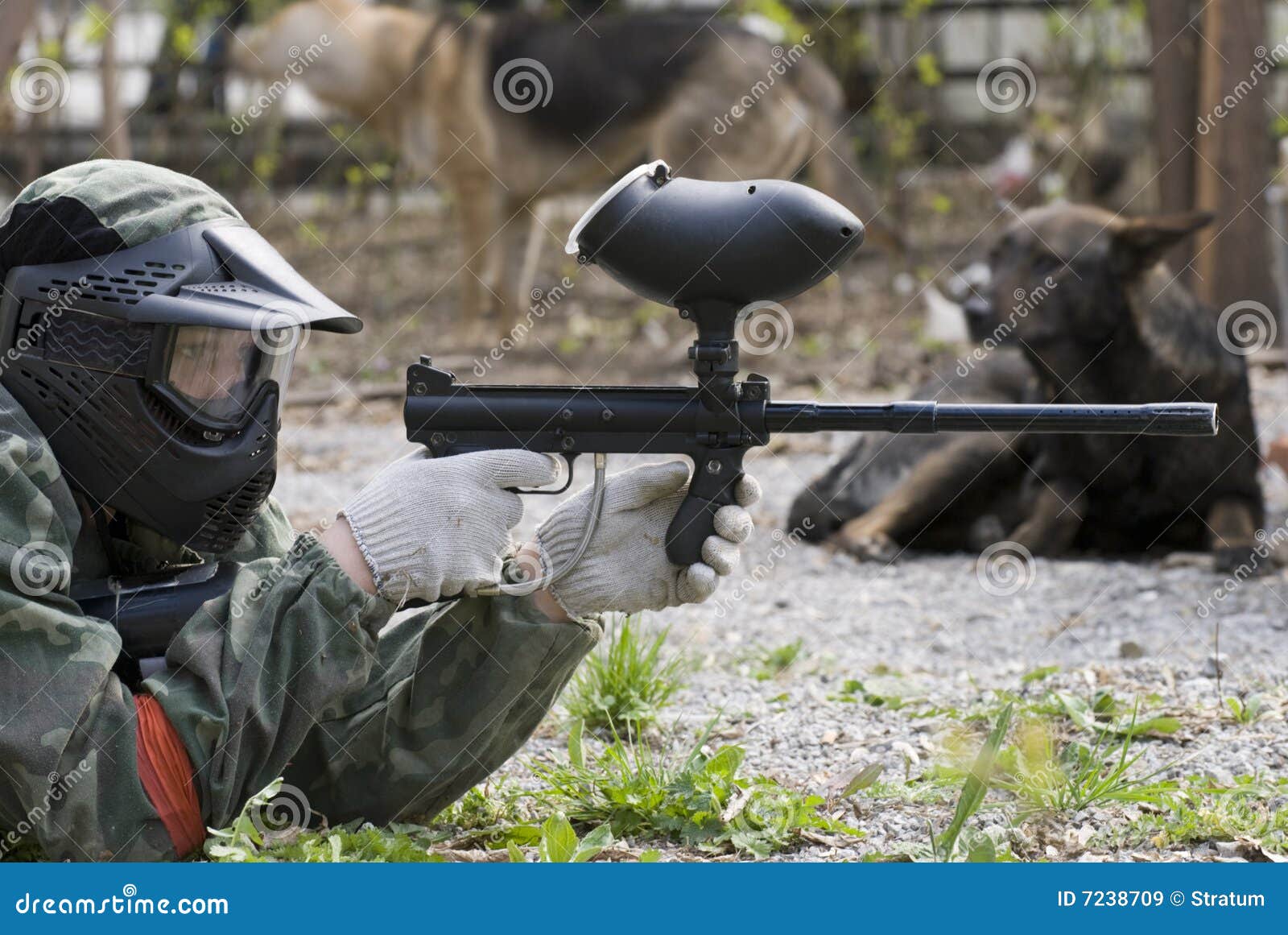 Paintball player stock image. Image of dogs, shot, paintballer 7238709