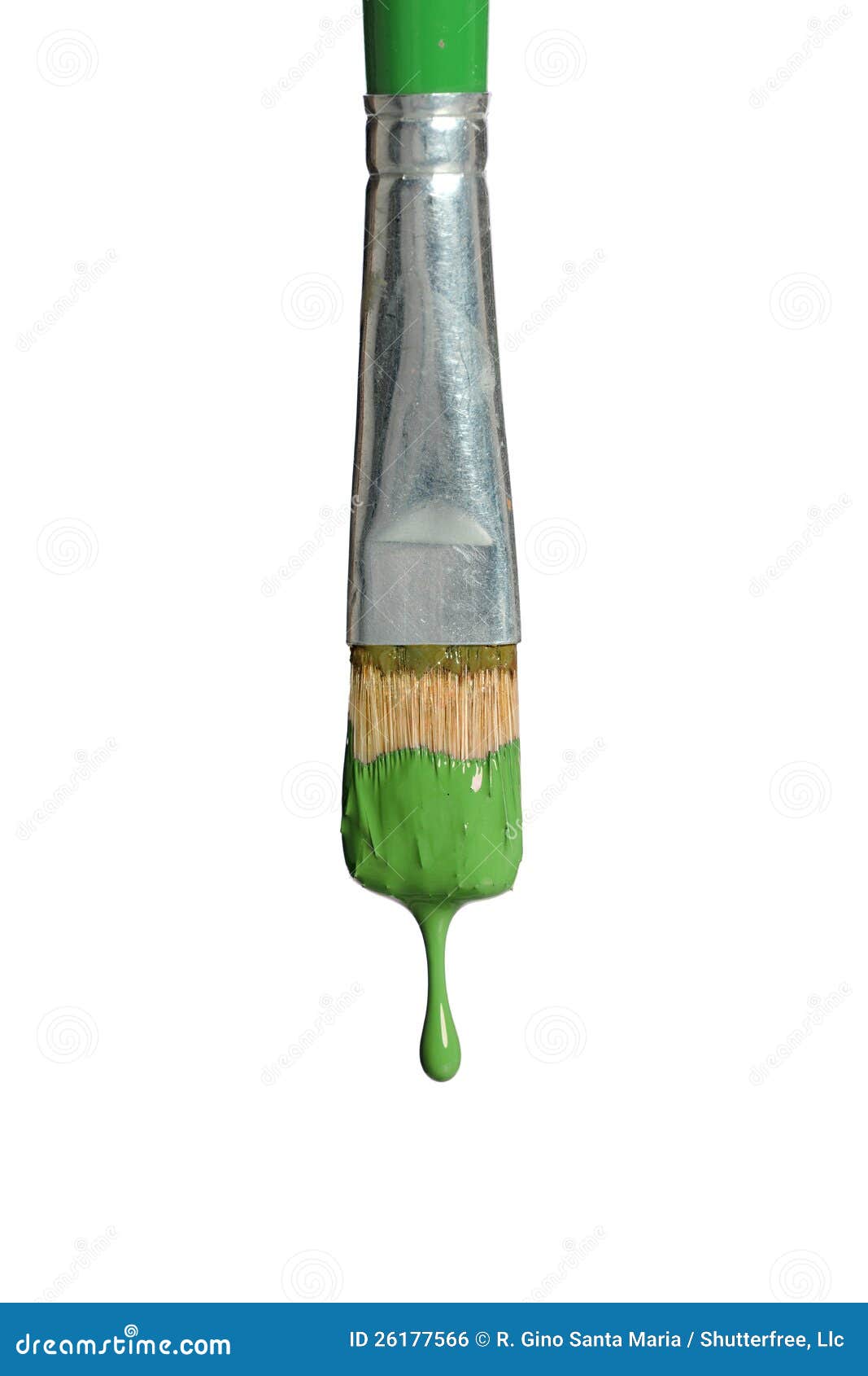 Paintbrush with Green Paint Stock Photo Image of bristle, dripping