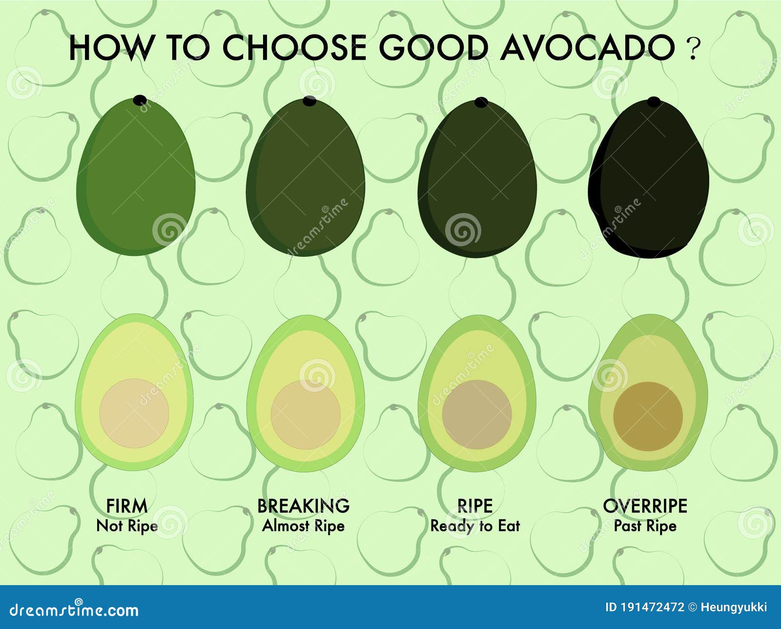 How To Choose a Good Avocado Stock Illustration Illustration of