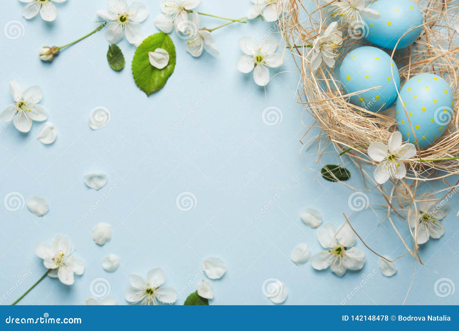 Painted Blue Easter Eggs on the Background of Cherry Blossoms Stock ...