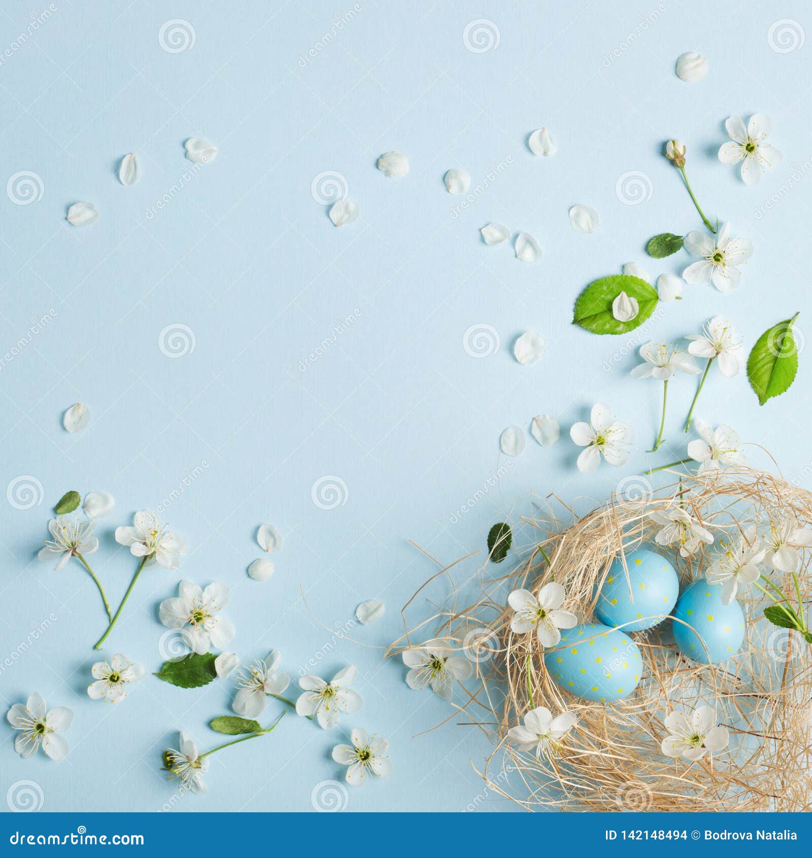 Painted Blue Easter Eggs on the Background of Cherry Blossoms Stock ...