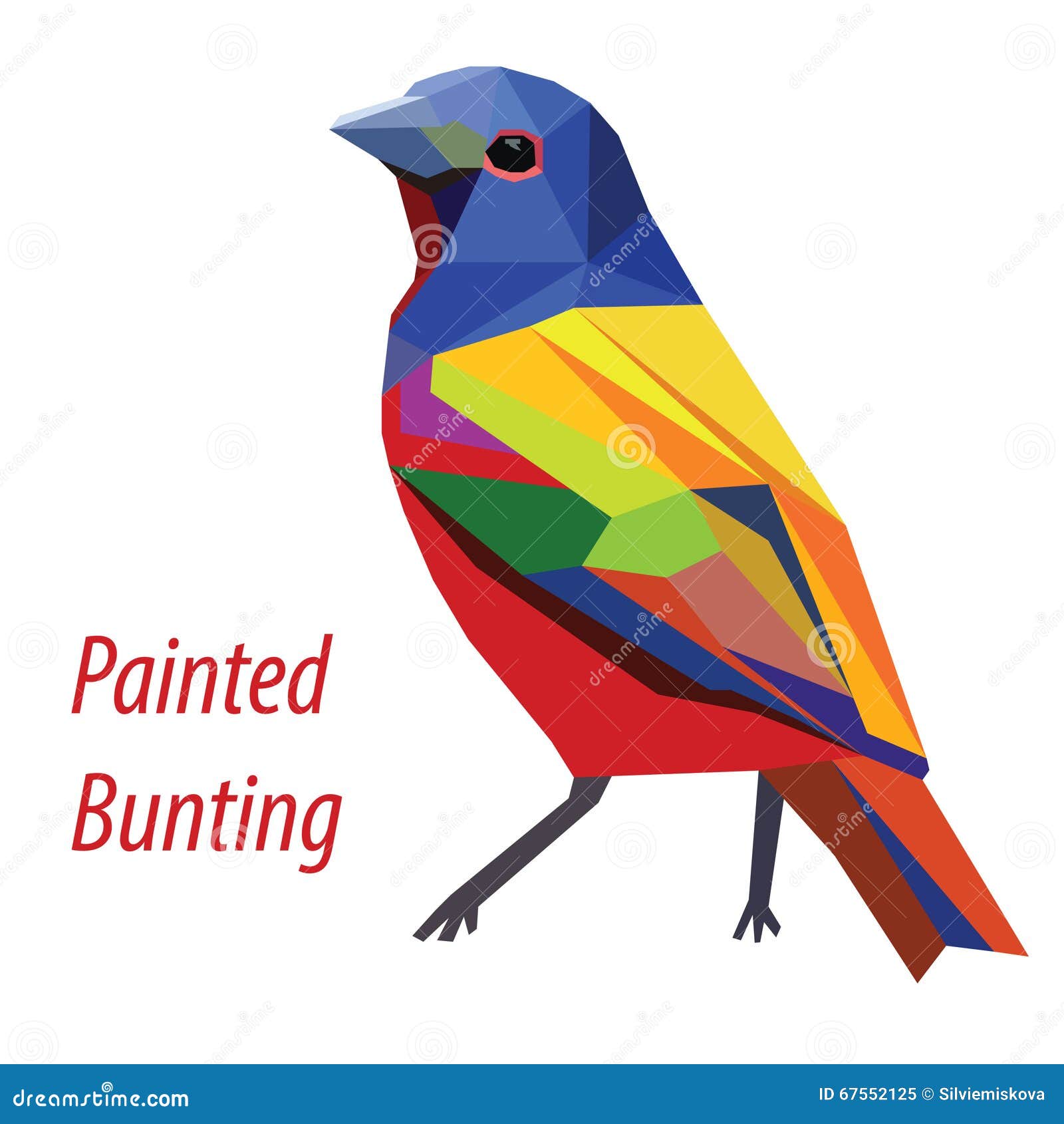 Painted bunting stock vector. Illustration of poly, design 67552125