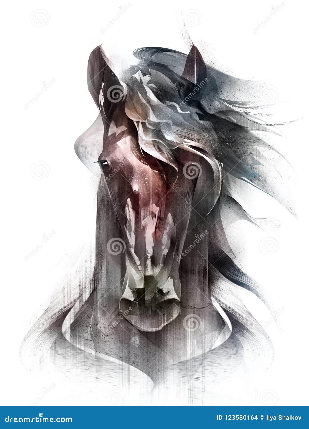 Horse Portrait In Multimedia Digital And Charcoal Stock Image