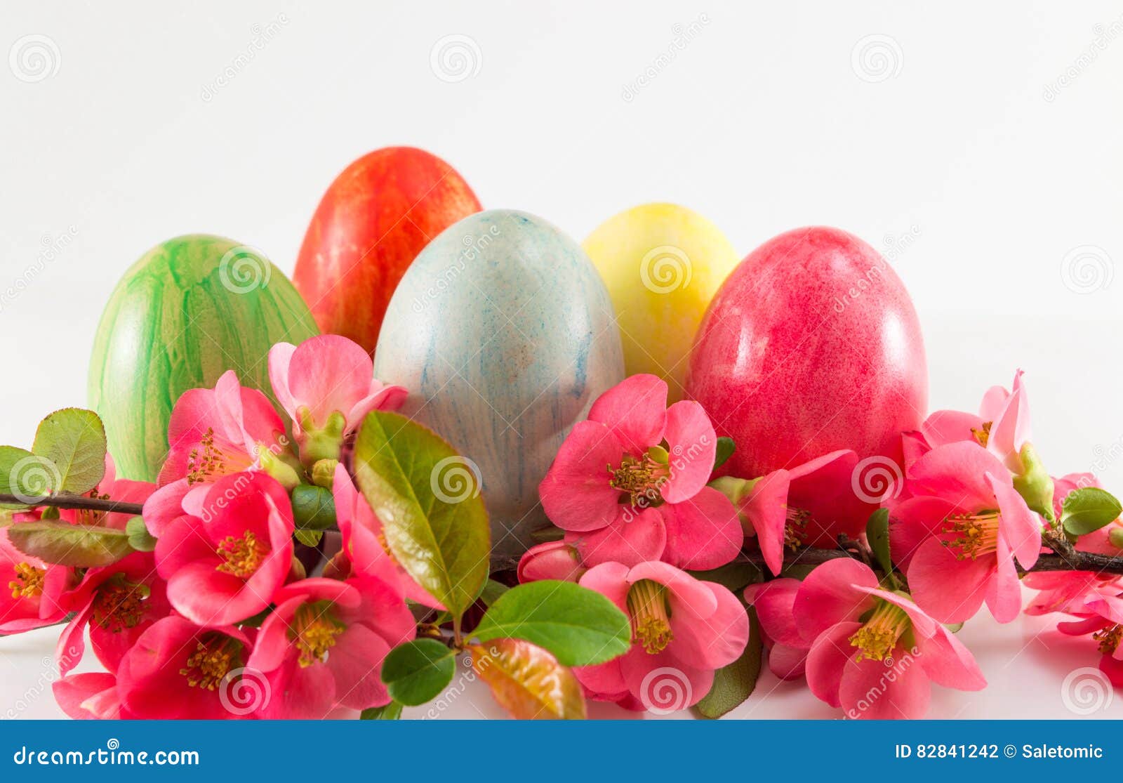 Painted Easter Eggs and Japanese Rose Flowers Stock Photo Image of